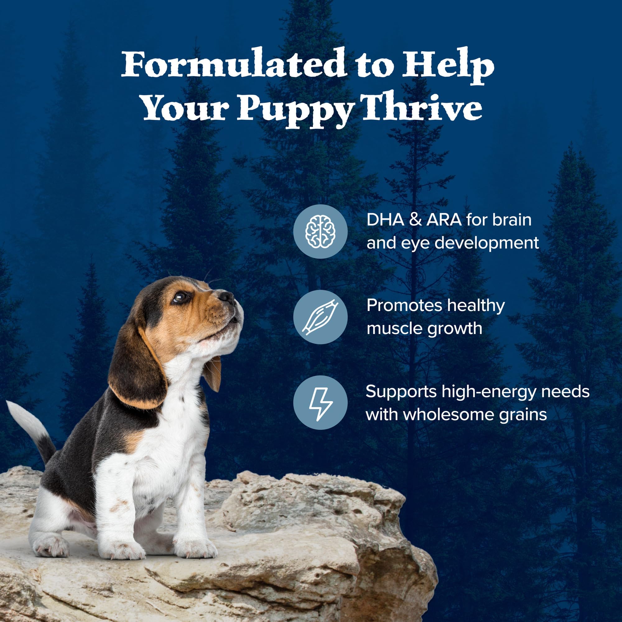Blue Buffalo Wilderness High-Protein Natural Dry Food for Puppies, Chicken Recipe, 24-lb. Bag