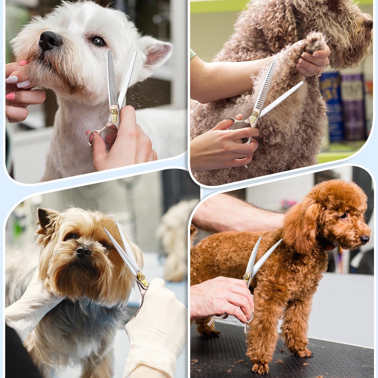 Jason Dog Grooming Scissors Kit, Professional 6 In 1 Dog Scissors Sharp Shears Set - 7.5'' Thinning, Chunker, Straight, Curved S