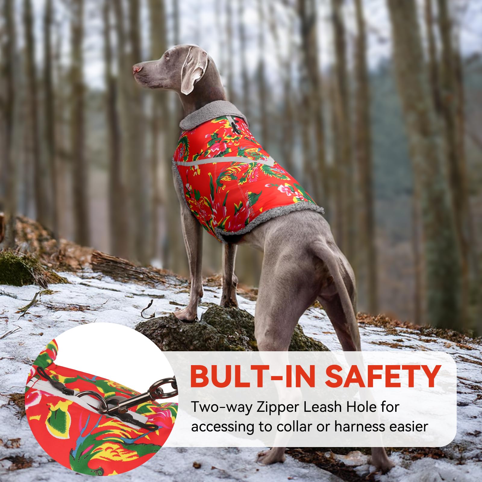 Vivaglory Warm Dog Fleece Vest Jacket With Two-Way Zipper Opening, Pet Jacket With Fleece Lining For Small Pets, Northeast Flora