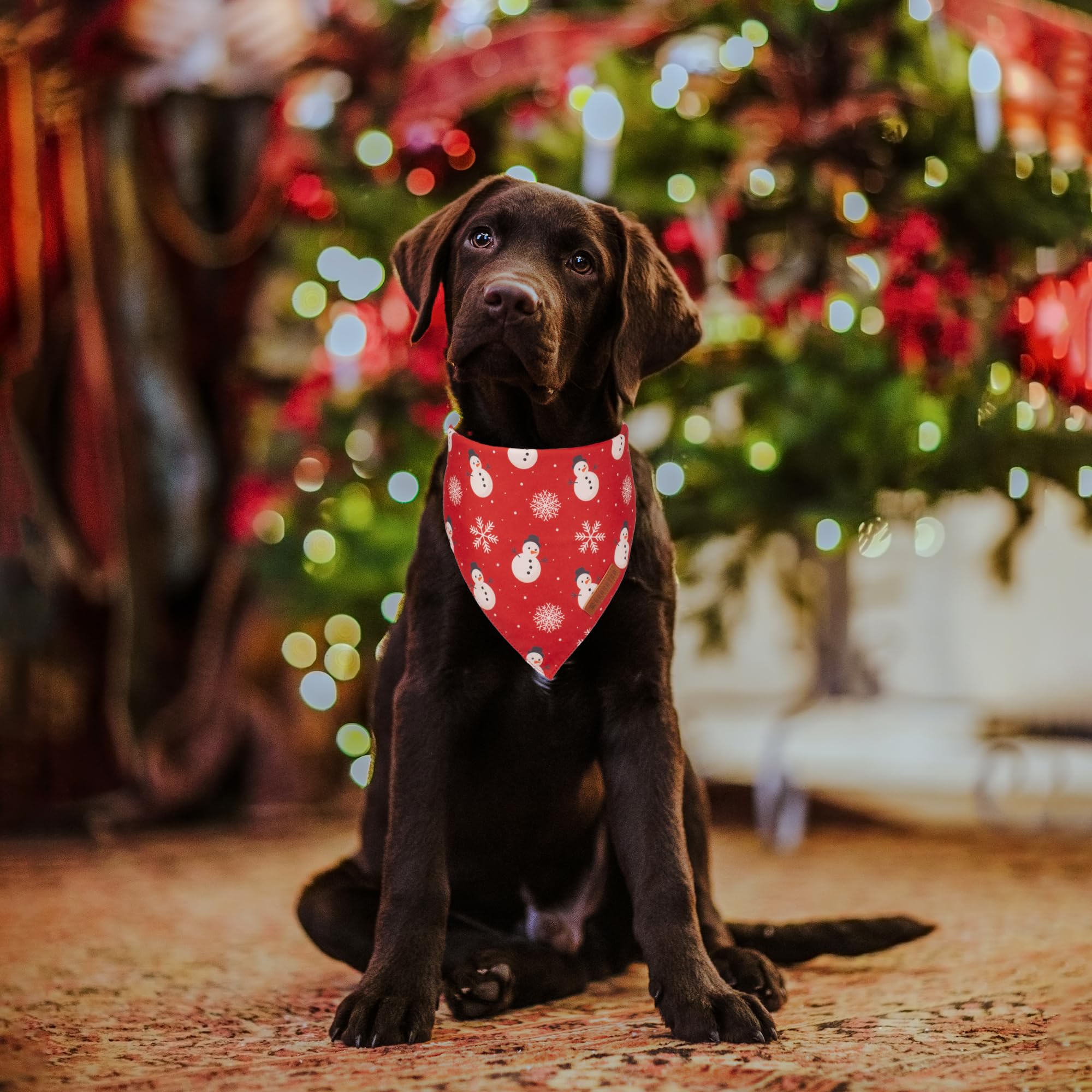 Adoggygo Christmas Dog Bandana, Snowman Xmas Pet Scarf, Premium Durable Fabric, Christmas Bandanas For Medium Large Dogs Pets (L