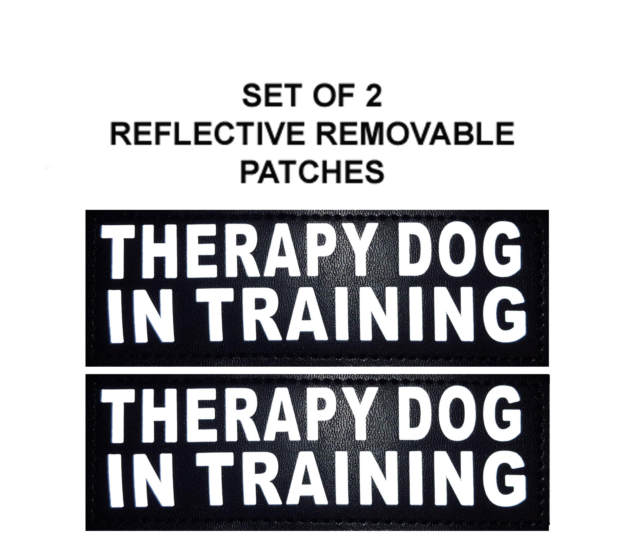 Doggie Stylz Set Of 2 Reflective Therapy Dog In Training Reflective Removable Patches With Hook Backing For Working Dog Harnesses & Vests. 3 Sizes Small, Medium And Large (Small 3'X1')