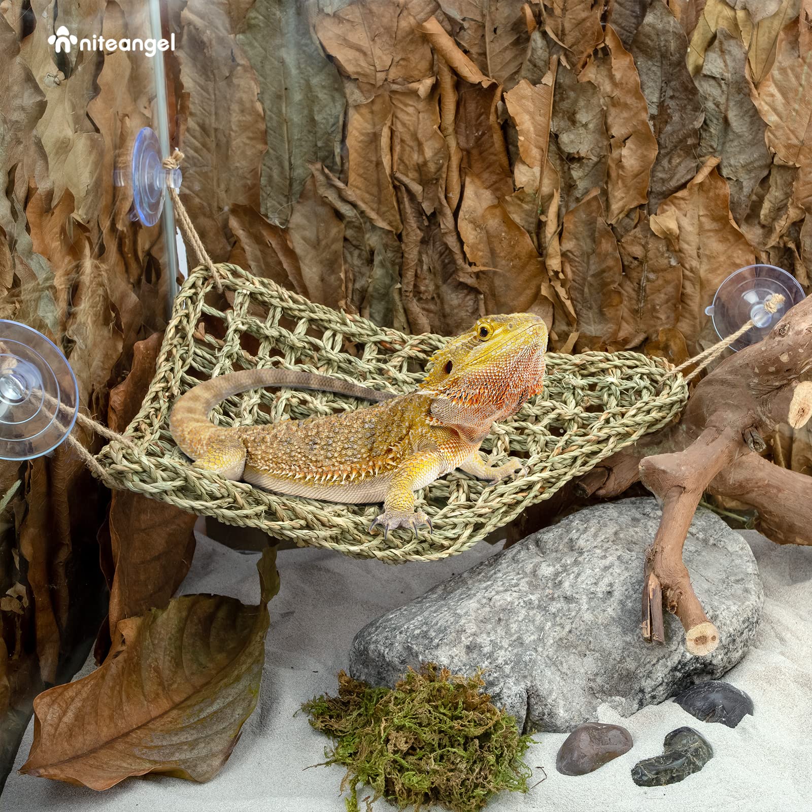 Niteangel Bearded Dragon Hammock Reptile Lounger For Chameleon, Lizards, Gecko, Snakes, Lguana Reptiles, Geckos (Triangle 17'' X 12.5'')