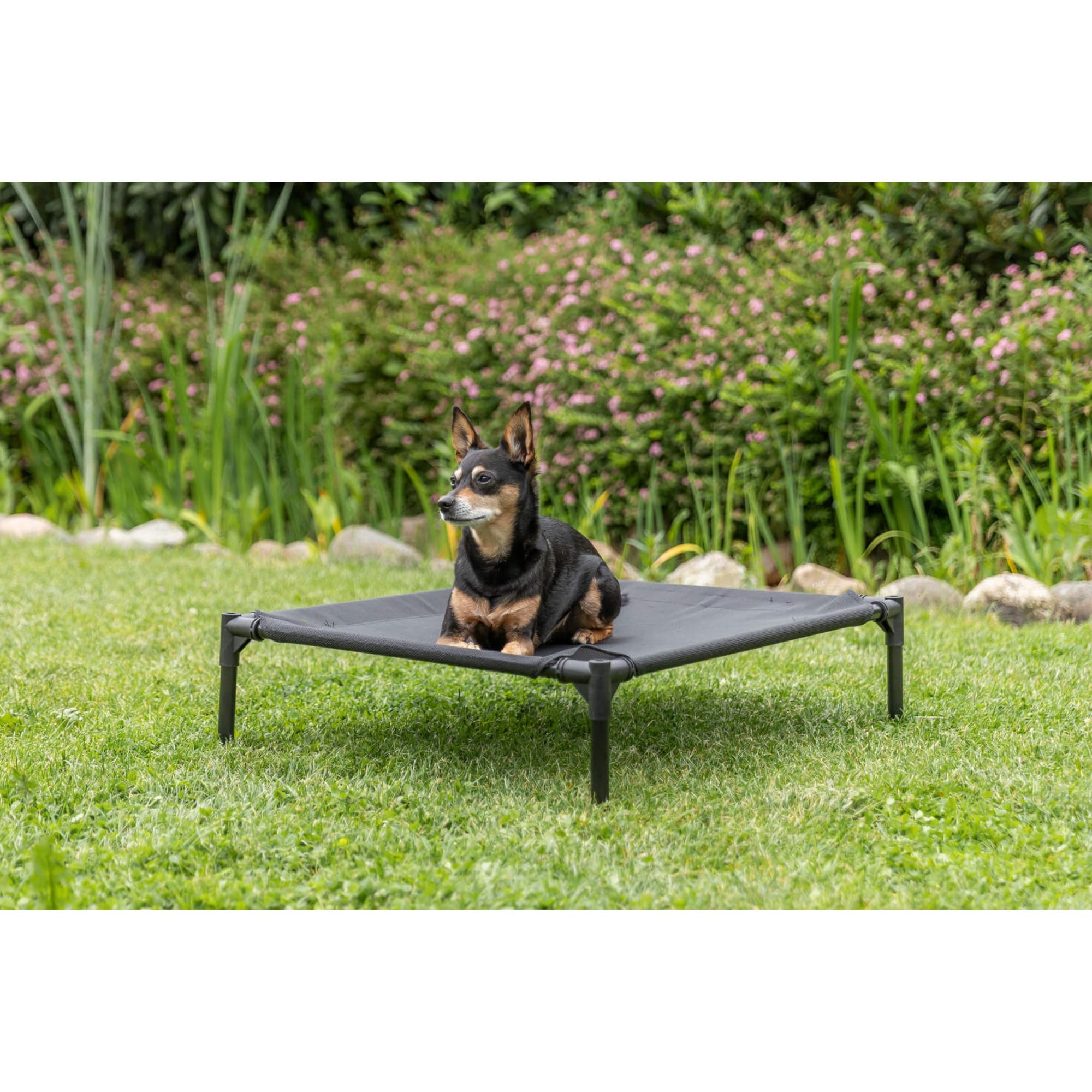 Trixie 2-In-1 Dog House And Bed - Elevated Indoor/Outdoor Tent With Removable Cover - Waterproof And Sun-Resistant - For Small/M