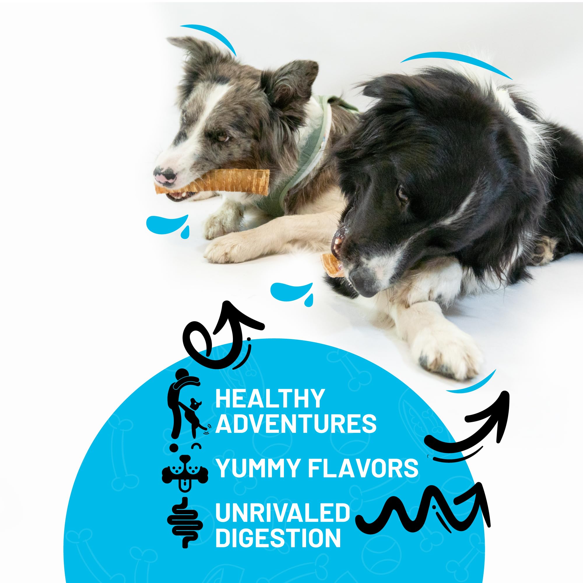 Sitka Farms Beef Split Trachea Canoe 6 - 20 Pieces - Dental Health Treat - Bone and Chews - 100% Natural Premium Dog Treat Long