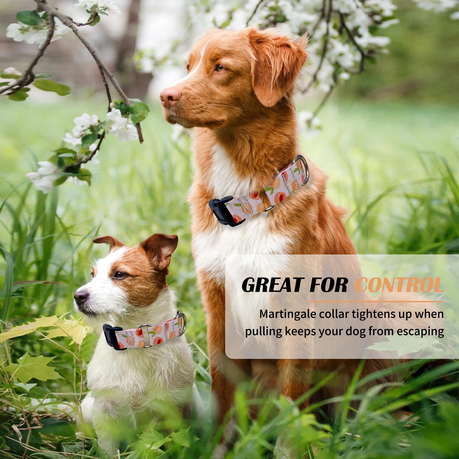 Hikiko Martingale Collar For Dogs Peach Dog Collar For Small Medium Large Dogs Cute Holiday Summer Dog Collars Pet Gift (Peach,S