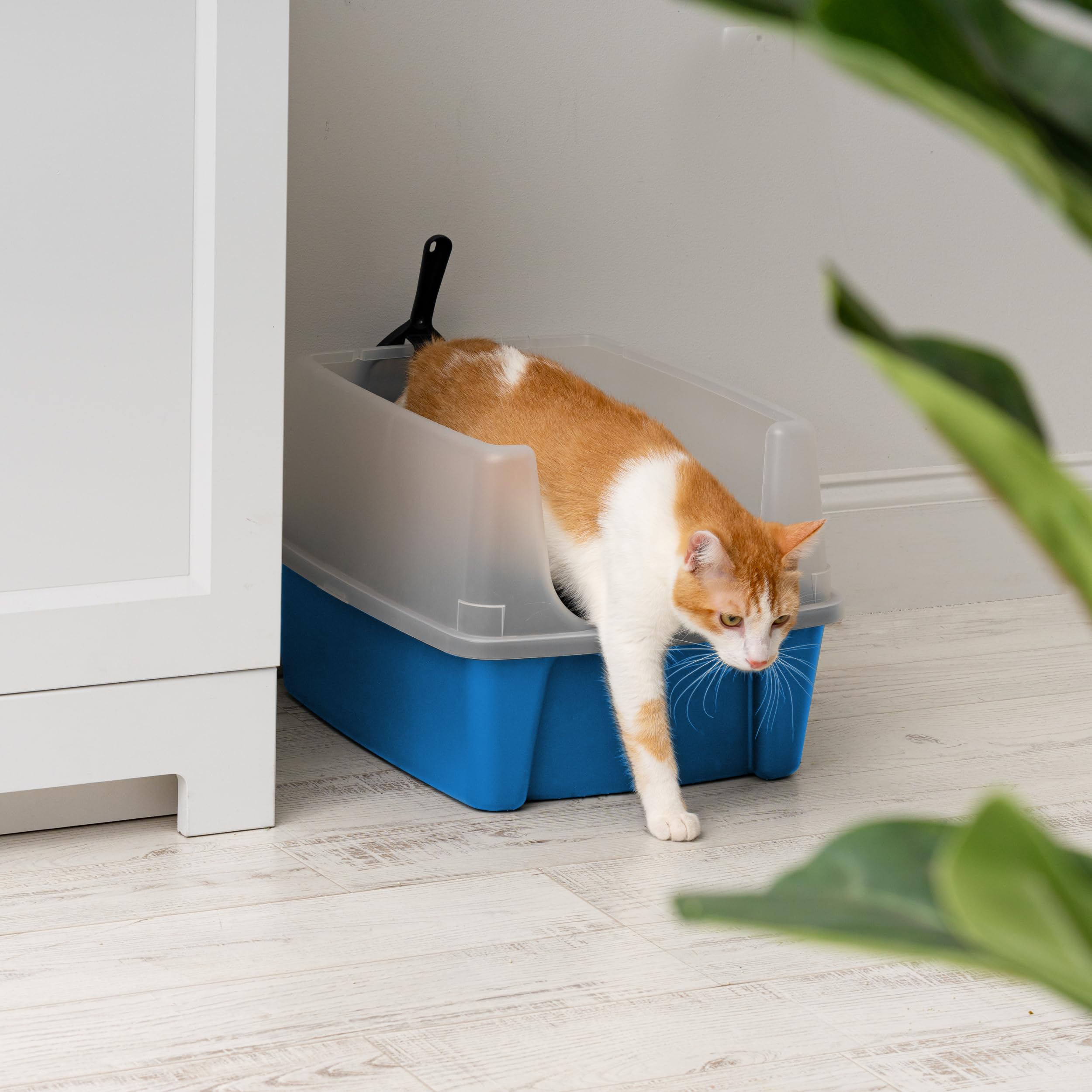 Iris Usa Large Cat Litter Box With Scatter Shield And Scoop, Open Top High Sided Cat Litter Pan, Blue