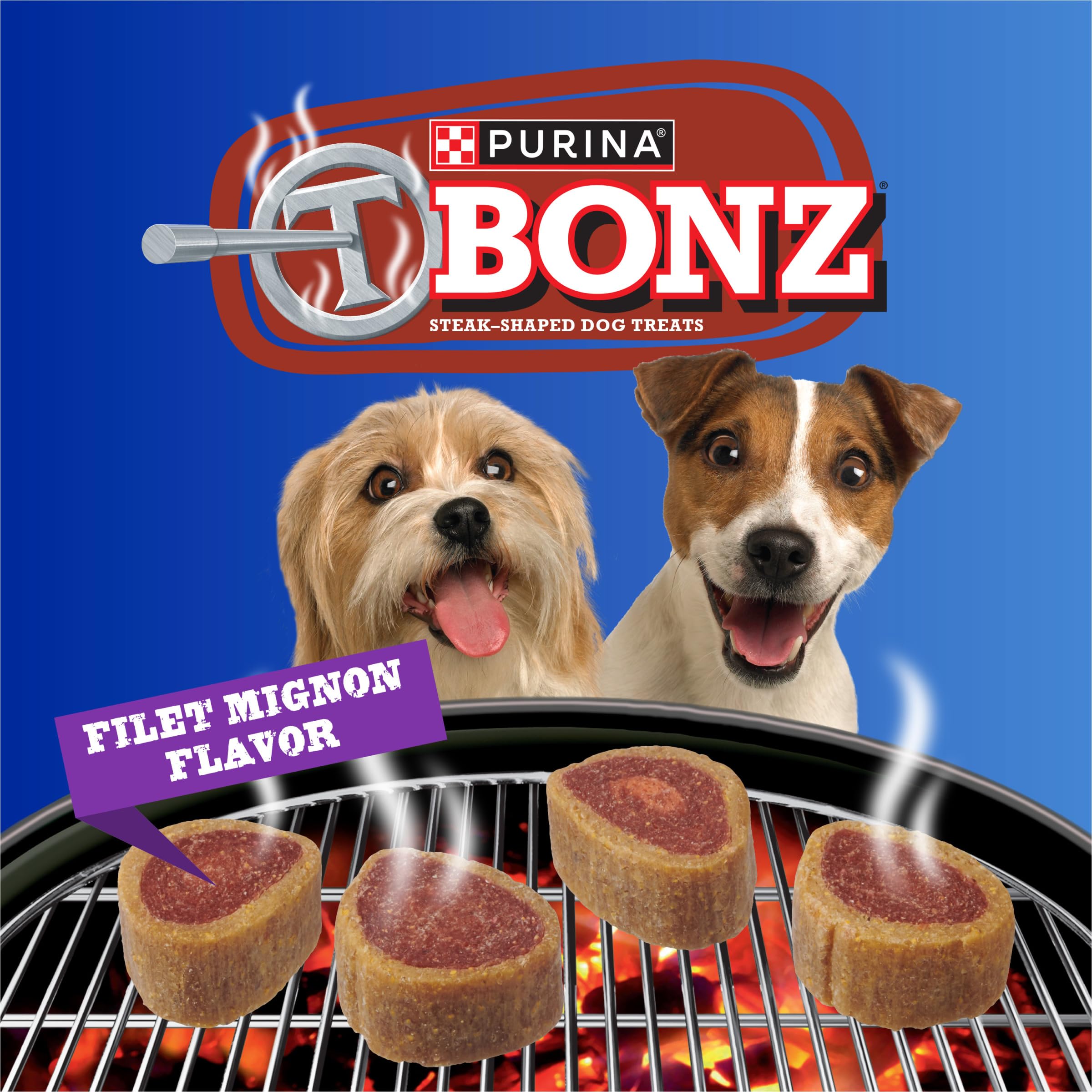 Purina T-Bonz Filet Mignon Flavor Steak Shaped Treats for Dogs - 45 oz. Pouch