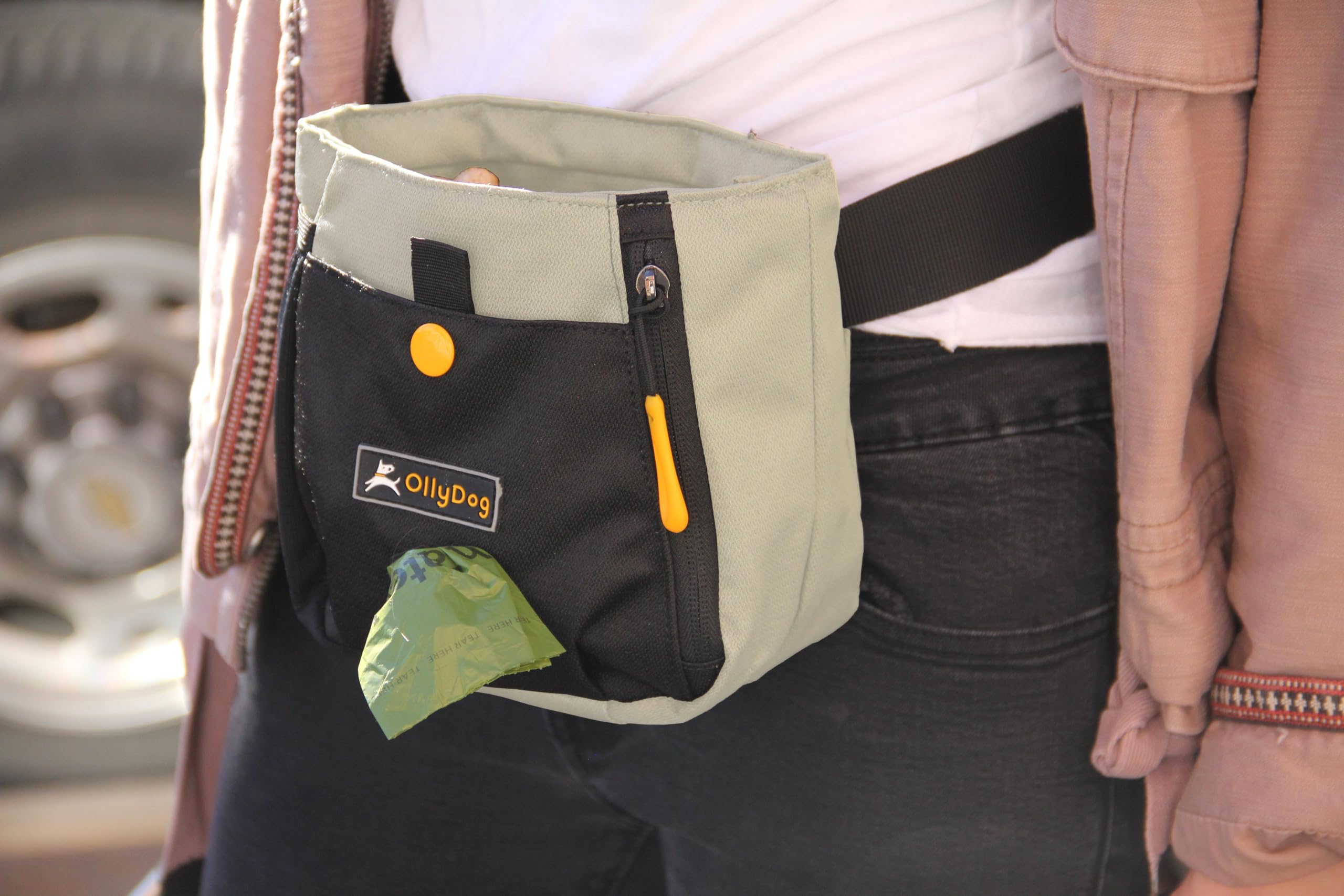 OllyDog Backcountry Day Bag | Hands-Free Dog Training Treat Pouch | Fanny/Hip Pack with Zipper Closure & Built-in Poop Bag Dispe