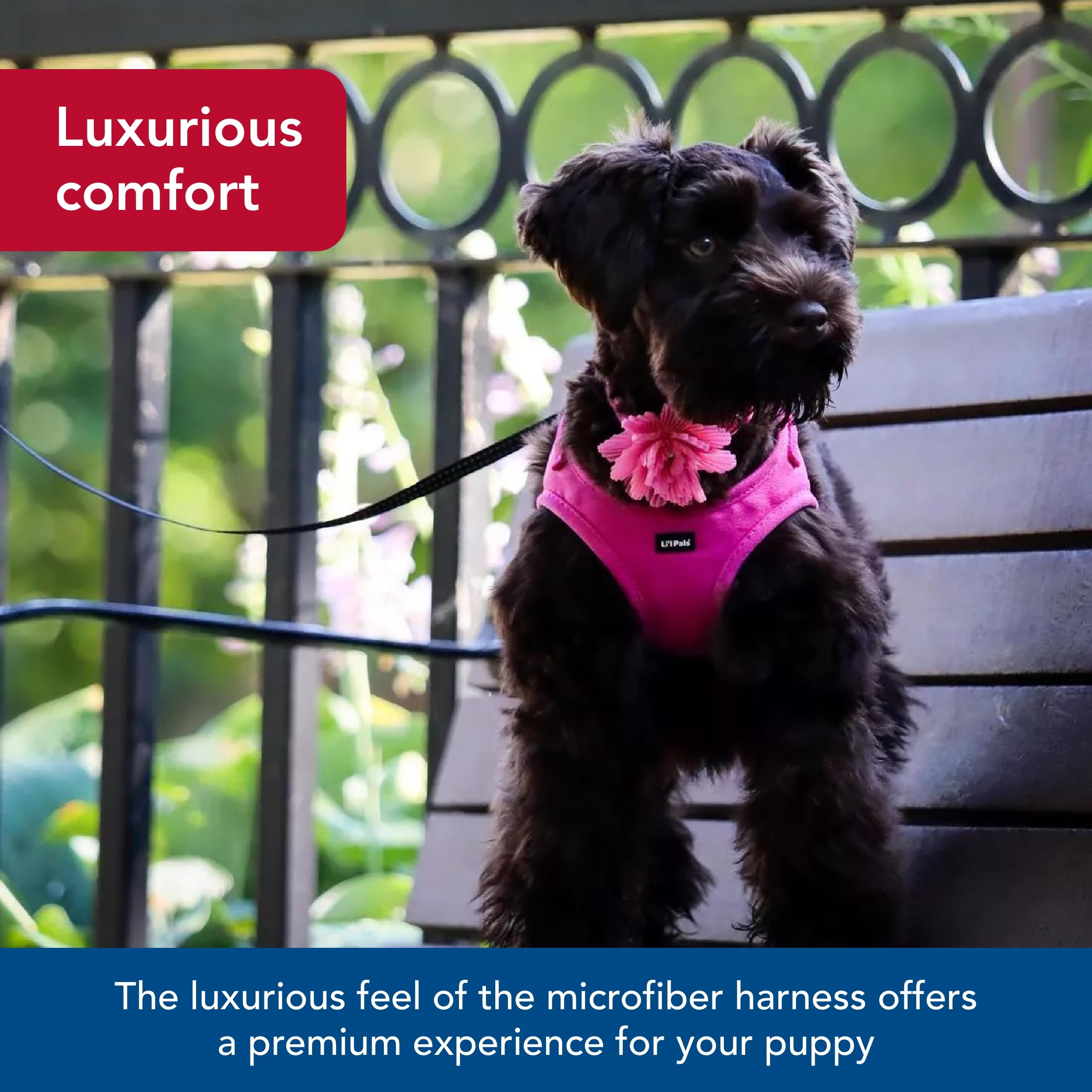Coastal - Lil Pals Microfiber Dog Harness - Adjustable, Comfortable Design For Small Dogs - Black - 3/8    X 8-10