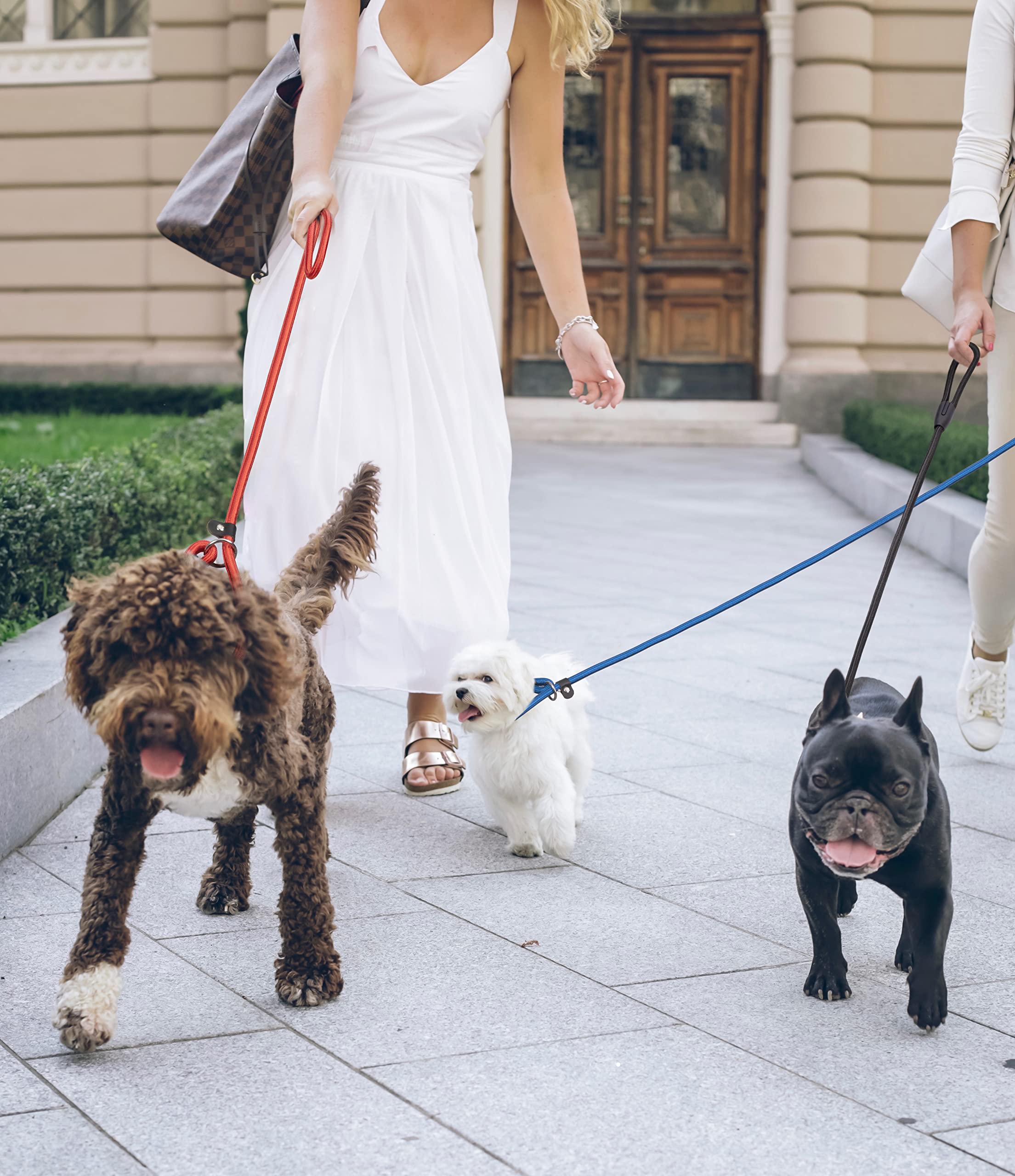 Fovrlzse 5-Pack Adjustable No-Pull Adjustable Slip Leads For Dogs - 5Ft Multi-Color Reflective For Small Dogs