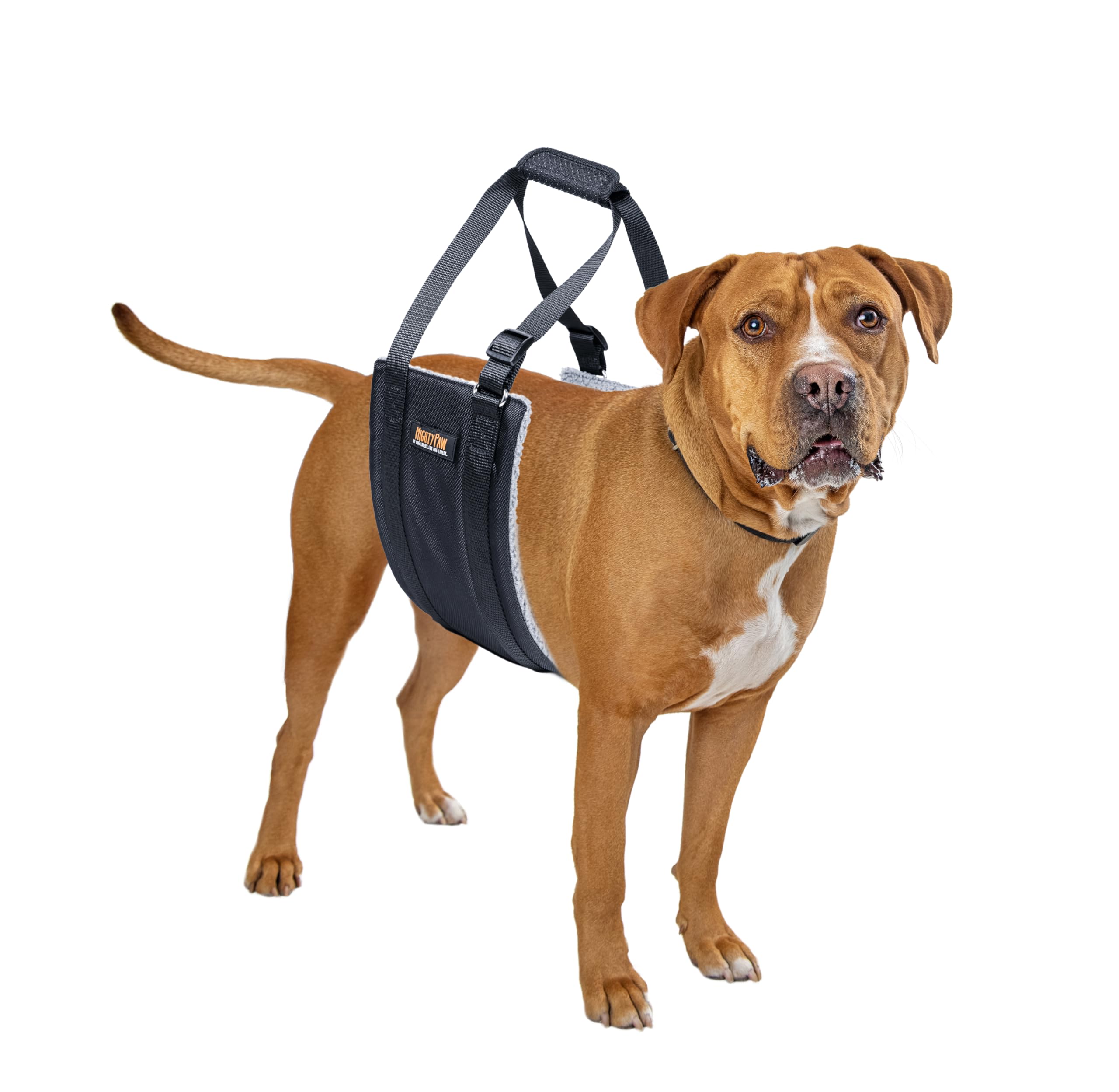 Mighty Paw Dog Lift Harness - 0-20 Lbs Dog Hip And Hind Leg Support Sling - Comfortable Assistance For Elderly Or Injured Pets W