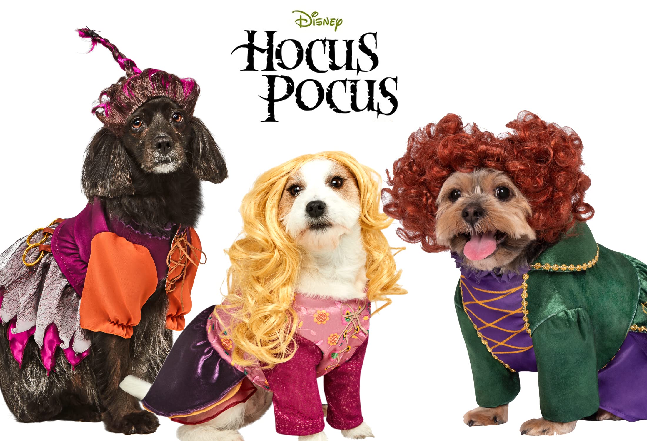 Rubies Disney Hocus Pocus Sarah Sanderson Pet Costume And Wig For Themed Parties And Halloween, As Shown, Large