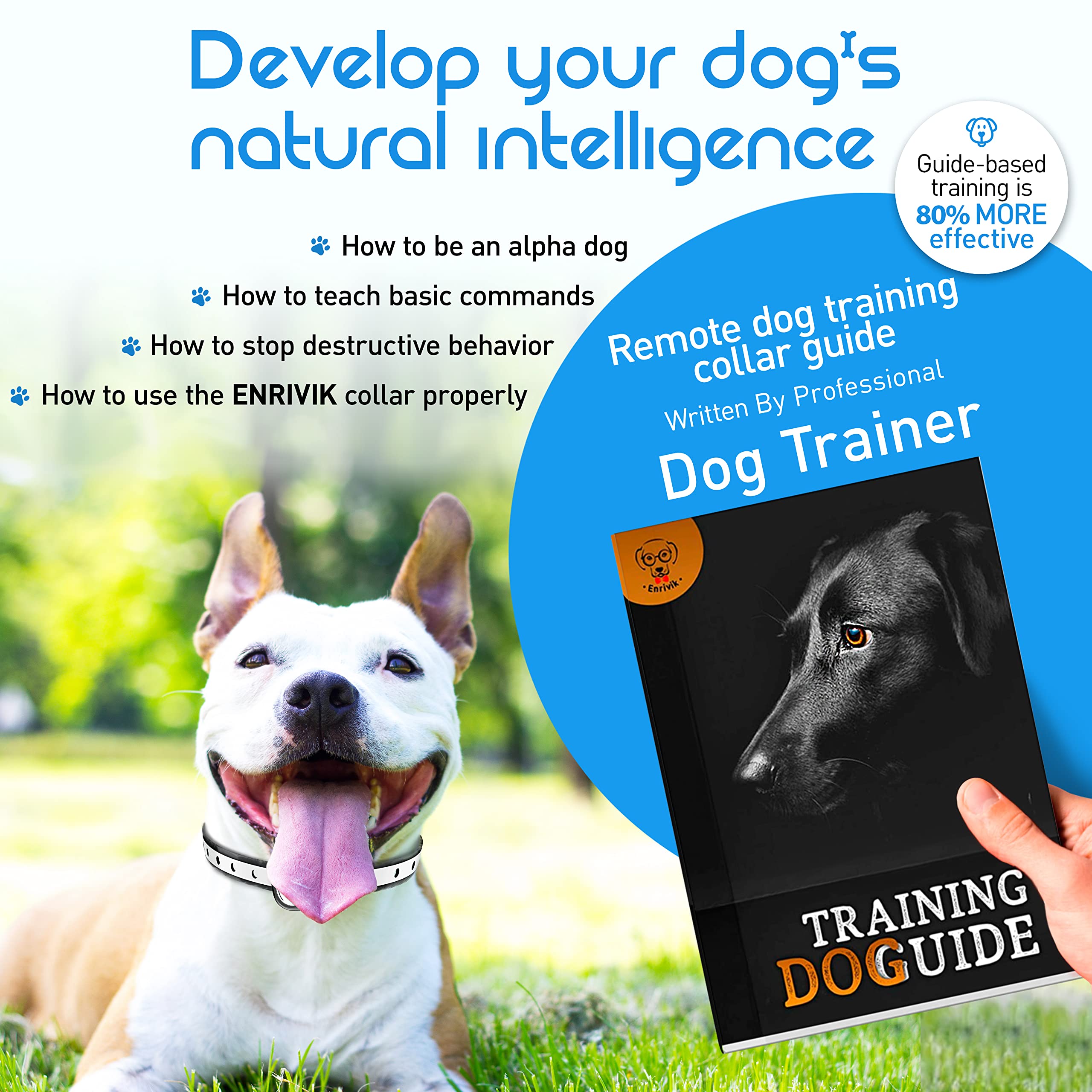 Extra Small Size Dog Training Collar With Remote For Small Dogs 5-15Lbs And Puppies With Shock - Waterproof & 1000 Ft Range