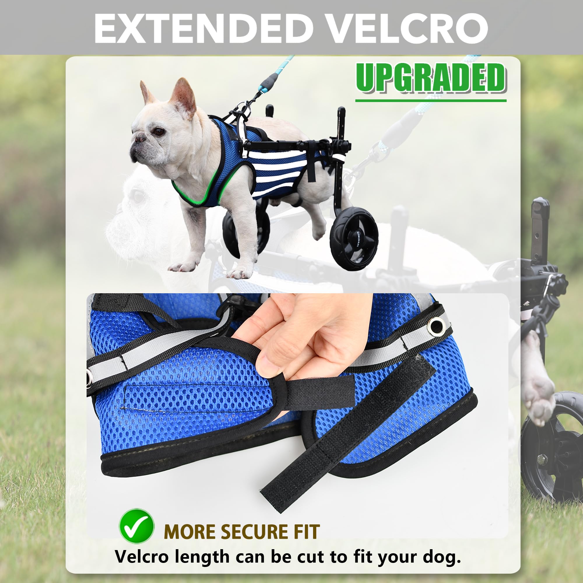 Lokshun 2025 Upgraded Dog Wheelchair for Back Legs Small Wheelchair for Dogs with Disabled Hind Legs Walking Adjustable Dog Cart