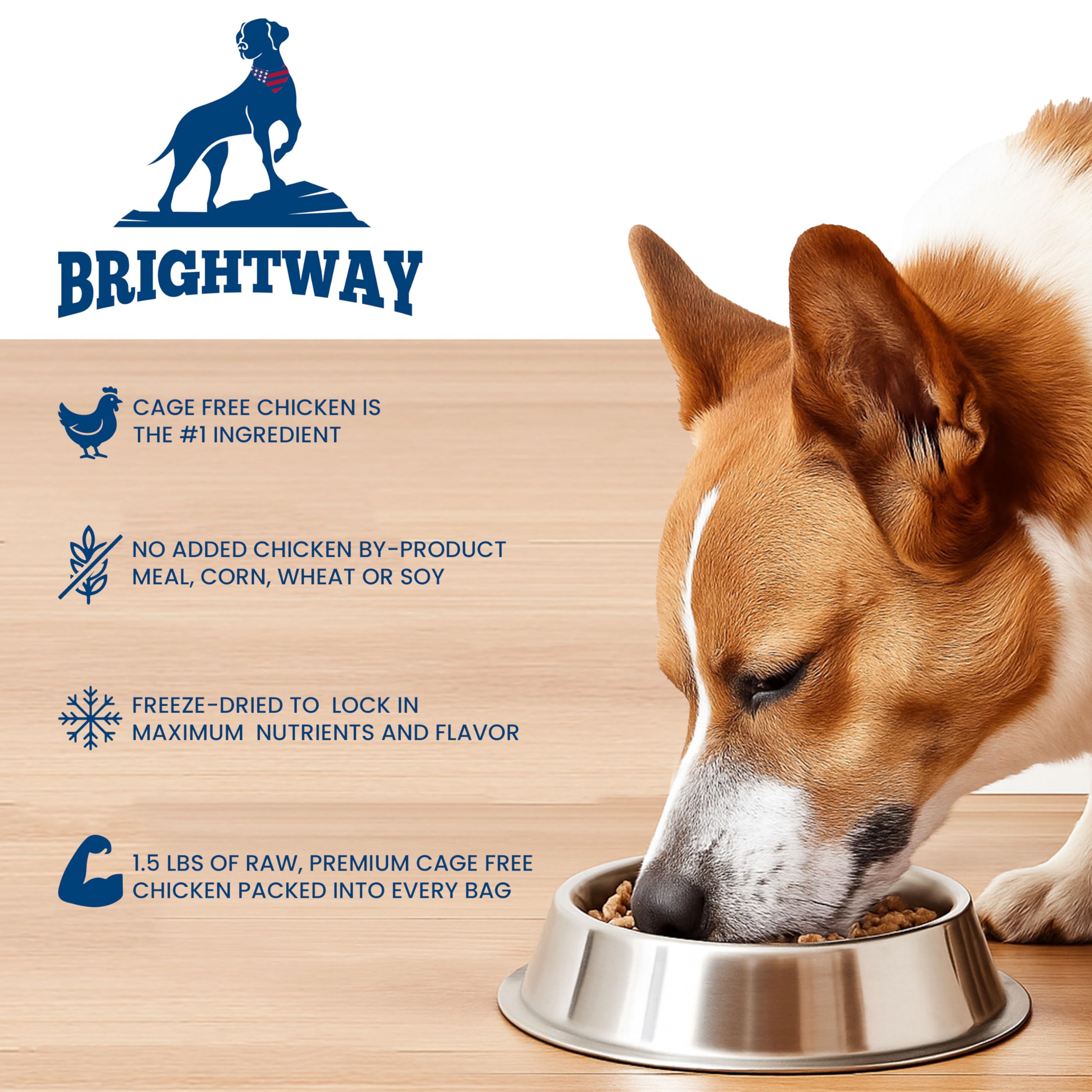 Brightway Pets Primal Protein Bites - Freeze Dried Raw Chicken Dog Treats | High Protein, Cage-Free Chicken & Liver | Made in US