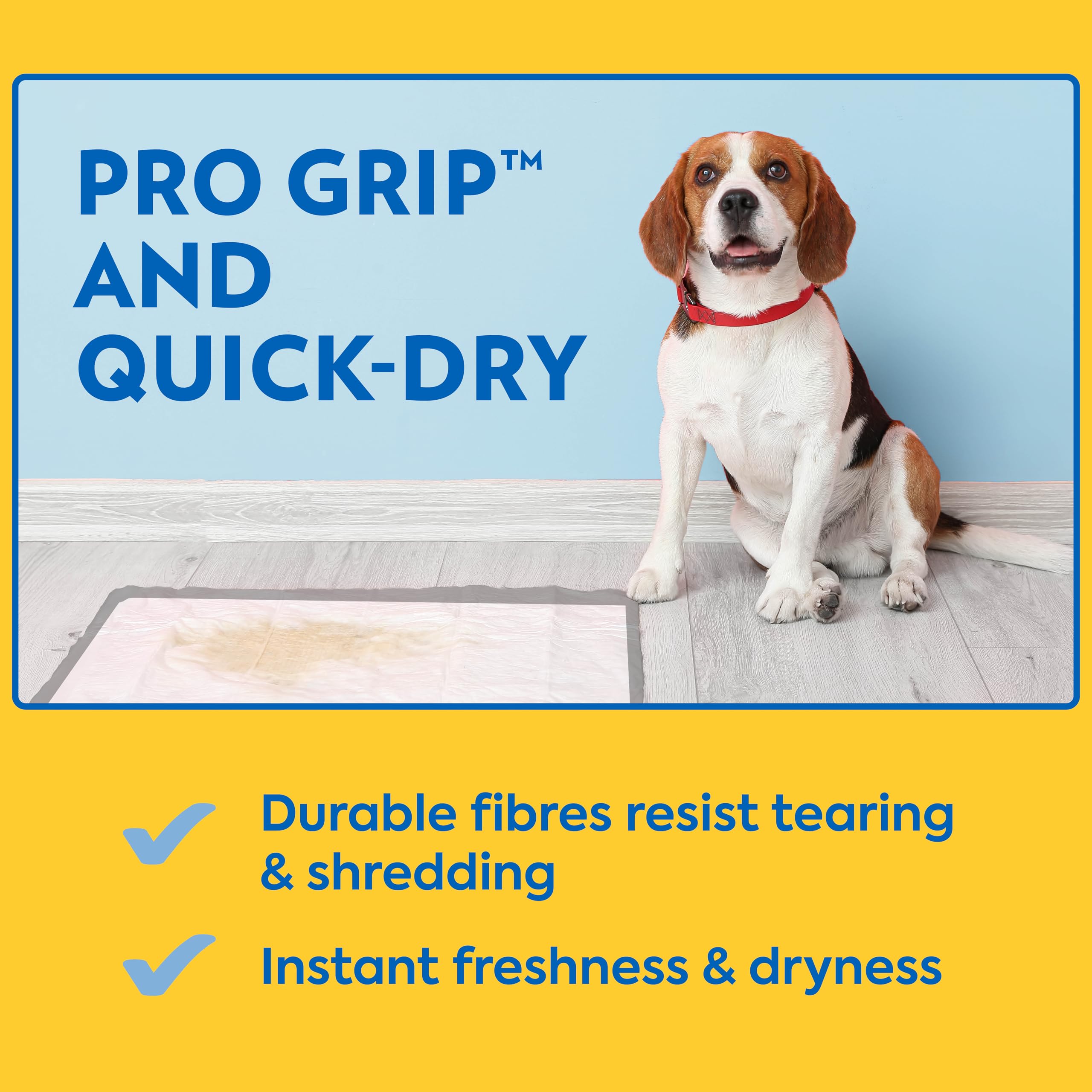 OUT! Petcare Puppy Pads XXL, Heavy Duty, Leak Proof Pee Pads for Dogs, Potty Training & Housebreaking, Puppy Essentials (26x30,