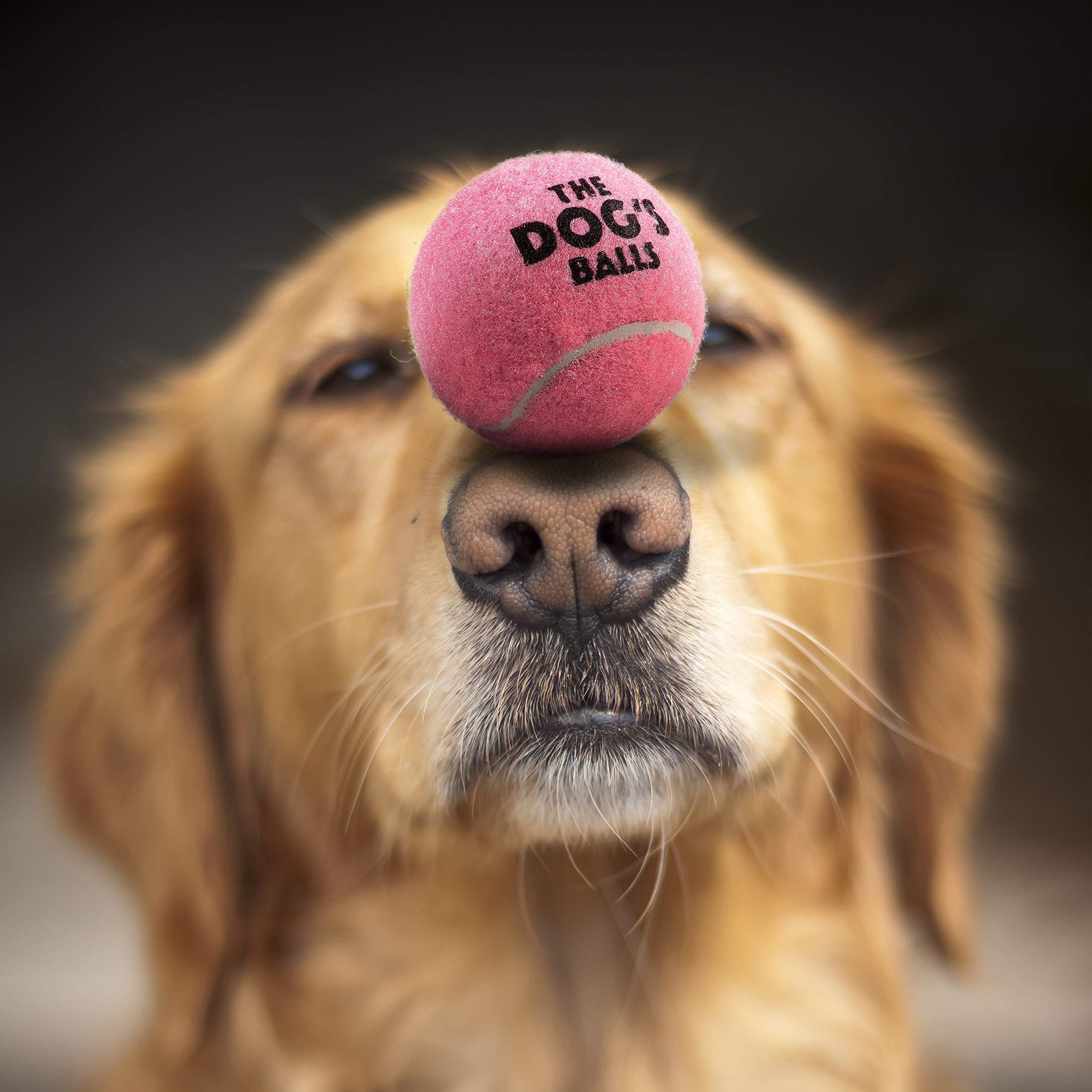 The Dog'S Balls, Dog Tennis Balls, 12-Pack Pink Dog Toy, Strong Dog & Puppy Ball For Training, Play, Exercise & Fetch