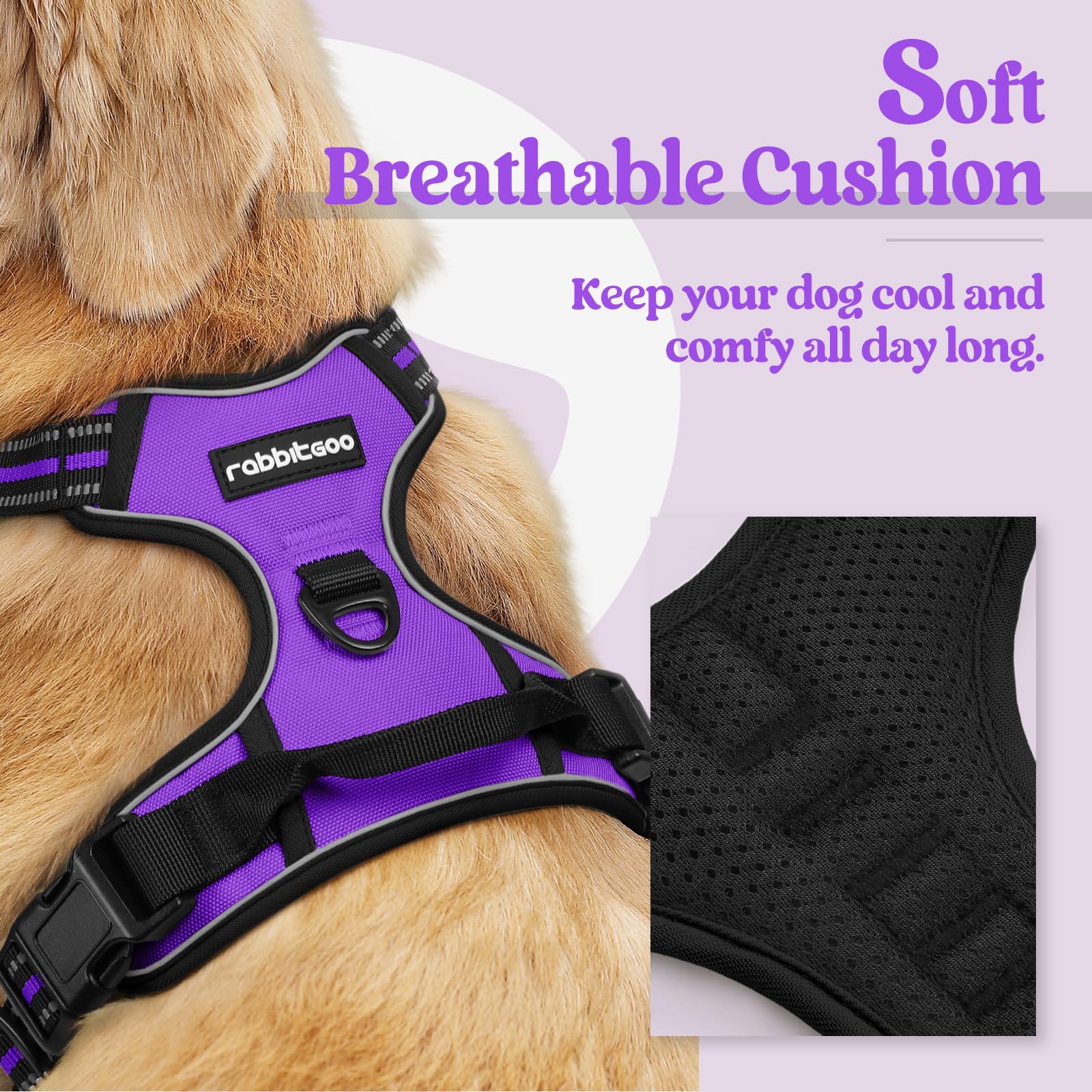 Rabbitgoo Dog Harness, No-Pull Pet Harness With 2 Leash Clips, Adjustable Soft Padded Dog Vest, Reflective No-Choke Pet Oxford Vest With Easy Control Handle For Large Dogs, Purple, Xl