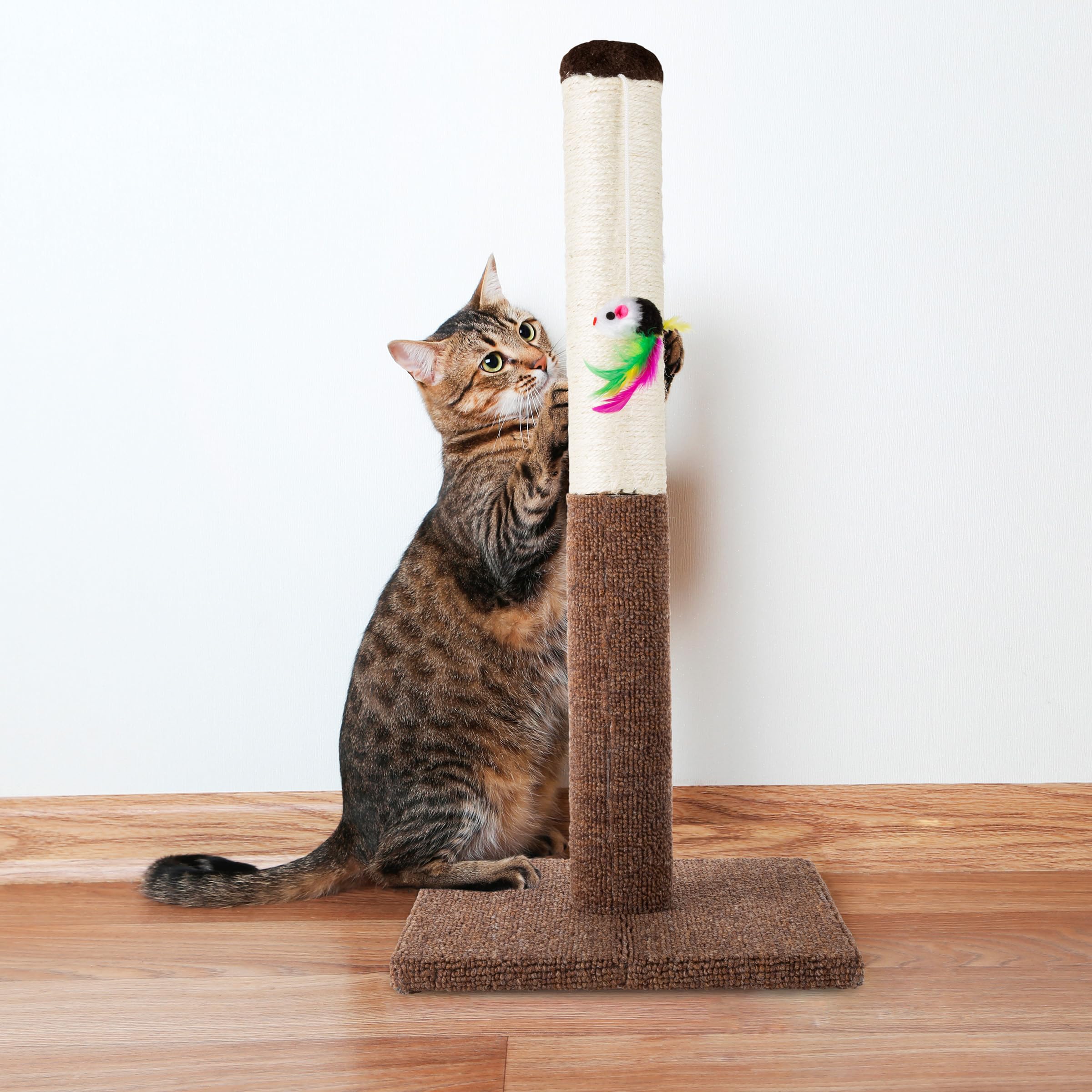 Petmaker Cat Scratching Post - Tall Scratcher For Cats And Kittens With Sisal Rope And Carpet, Hanging Mouse Toy For Interactive Play (24.5 Inch)