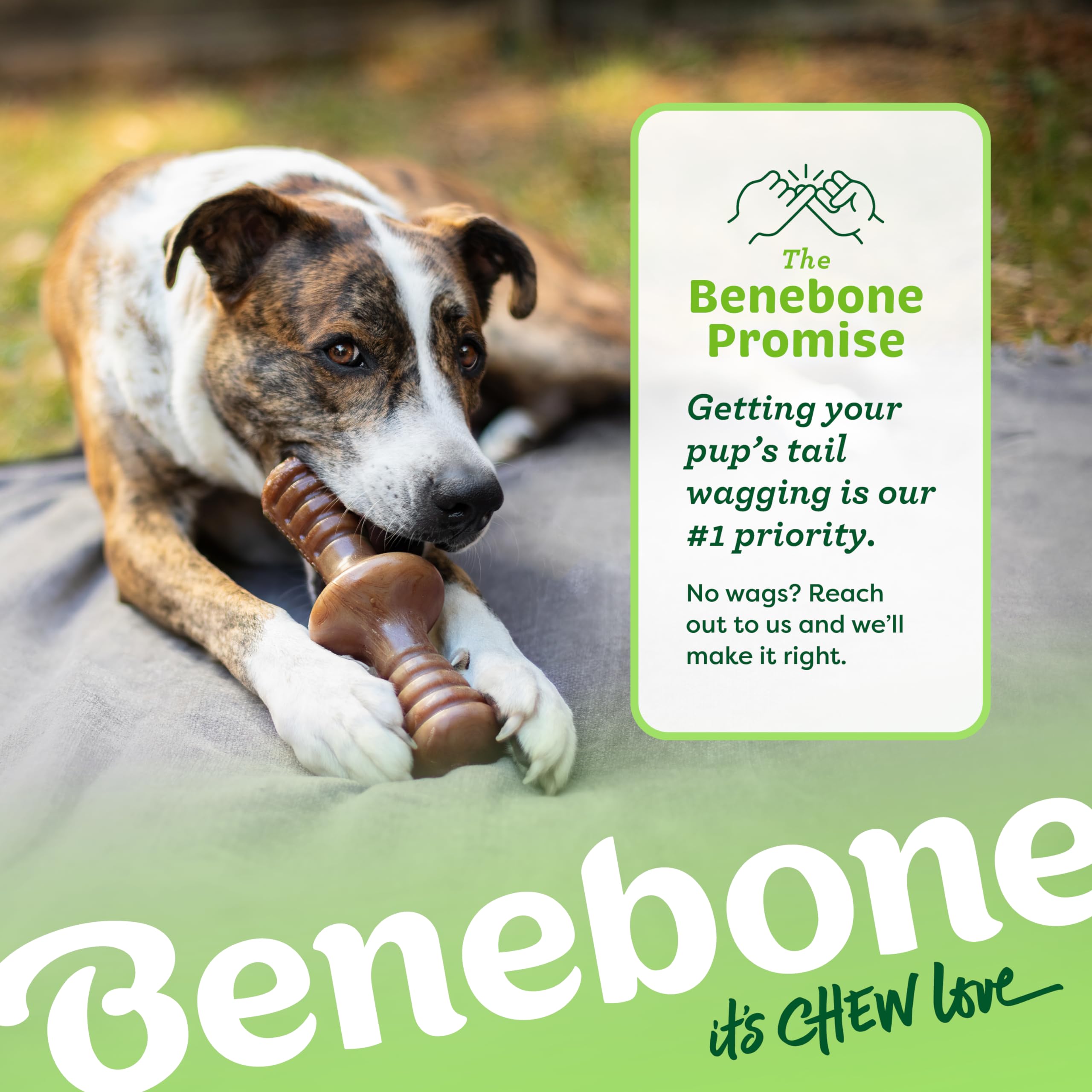 Benebone Zaggler Rolling Dog Chew Toy For Aggressive Chewers, Real Bacon, Made In Usa, Medium