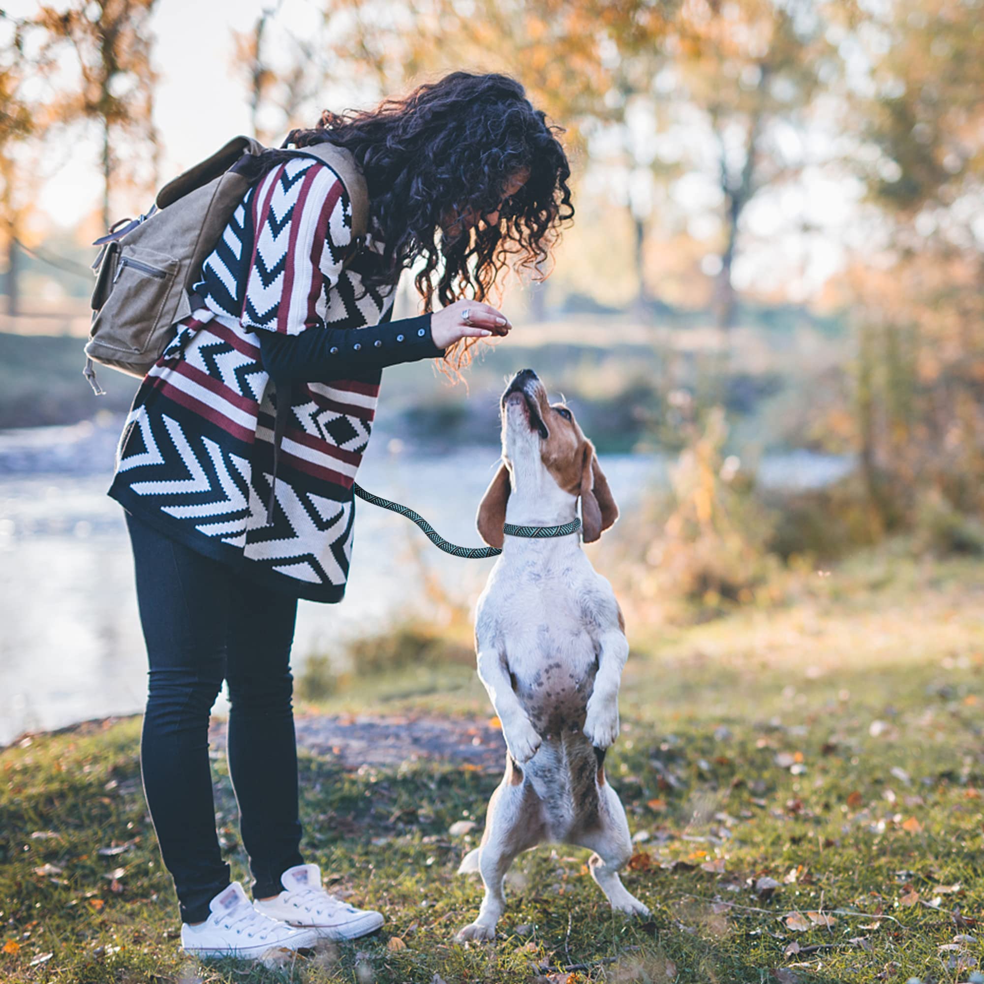 Petifine Slip Lead 6Ft X 3/8' Reflective Durable Dog Training Leash, Heavy Duty Adjustable Nylon Dog Rope Leash For Small Mediu