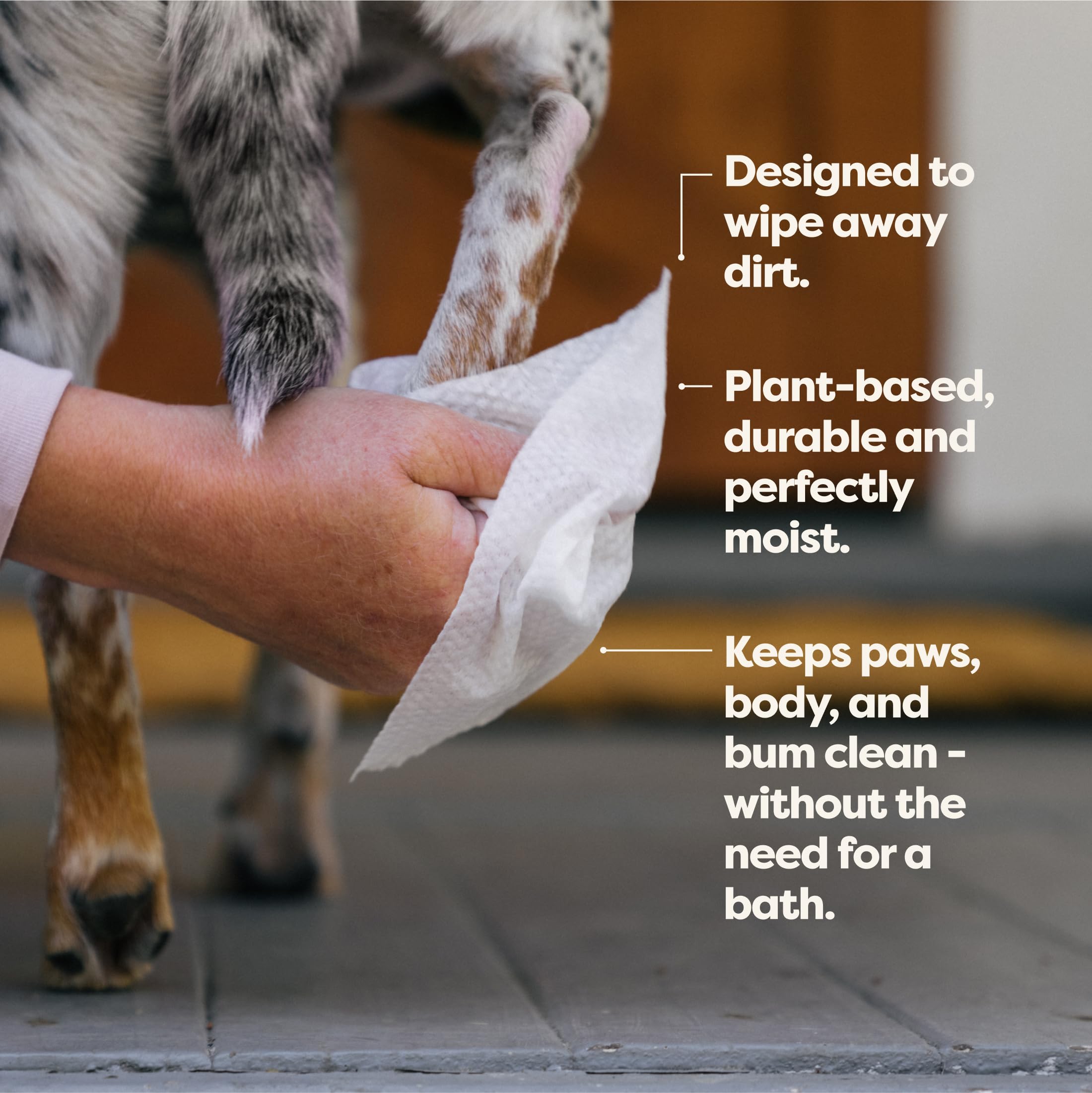 Earth Rated Dog Wipes, New Look, Thick Plant Based Grooming Wipes For Easy Use On Paws, Body And Bum, Lavender Scented, 100 Count