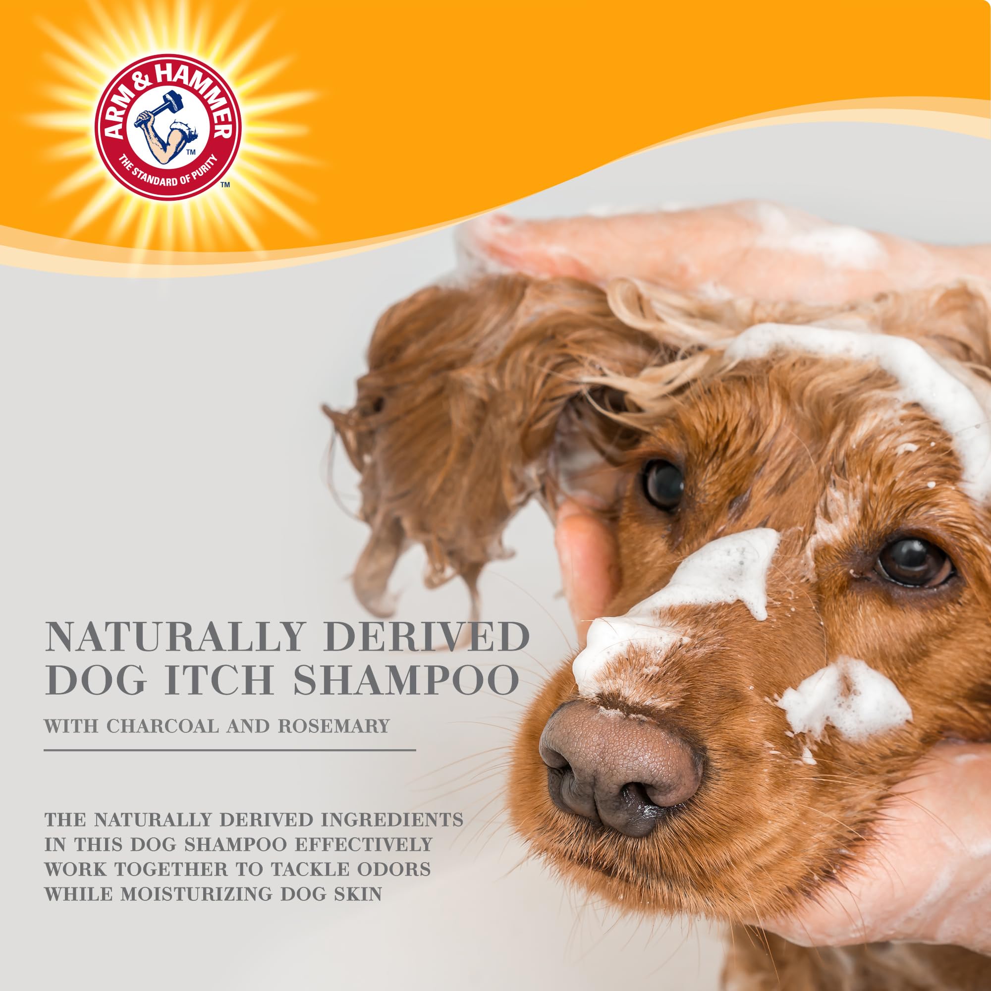 Arm & Hammer For Pets Ultra Fresh Deep Cleansing Dog Shampoo With Charcoal & Rosemary, Value Size 24Oz | Great Smelling Dog Grooming And Bathing Supplies, Dog Wash, Puppy Shampoo, Pet Shampoo
