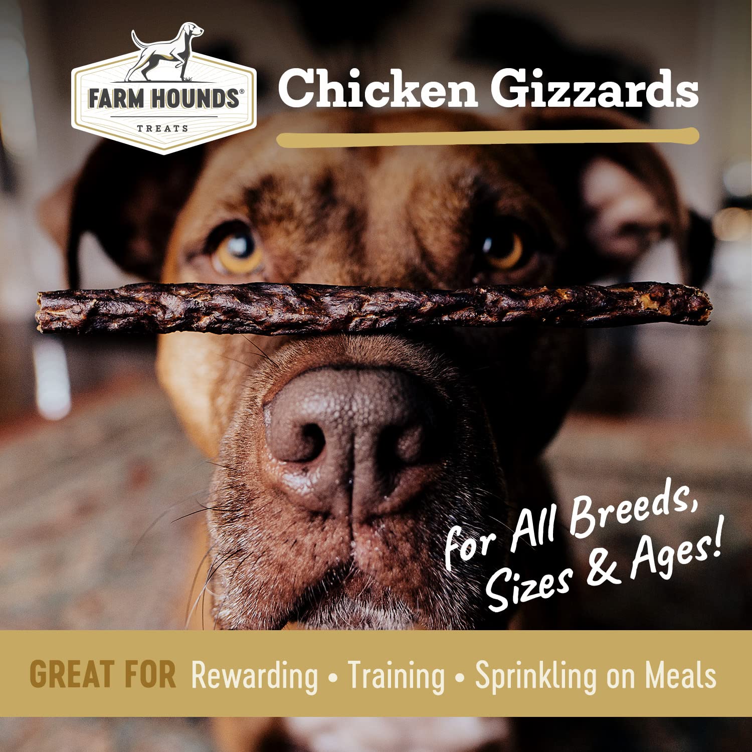 Farm Hounds - Chicken Gizzards - Premium Natural Jerky for Dogs -100% Humanely Raised Chicken - Break-to-Size - Great for Traini