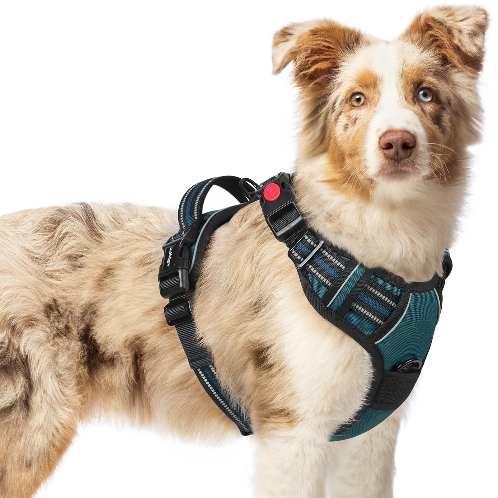 Rabbitgoo Dog Harness Medium Sized, No Pull Pet Harness With 3 Buckles, Adjustable Soft Padded Pooch Vest With Instant Control H