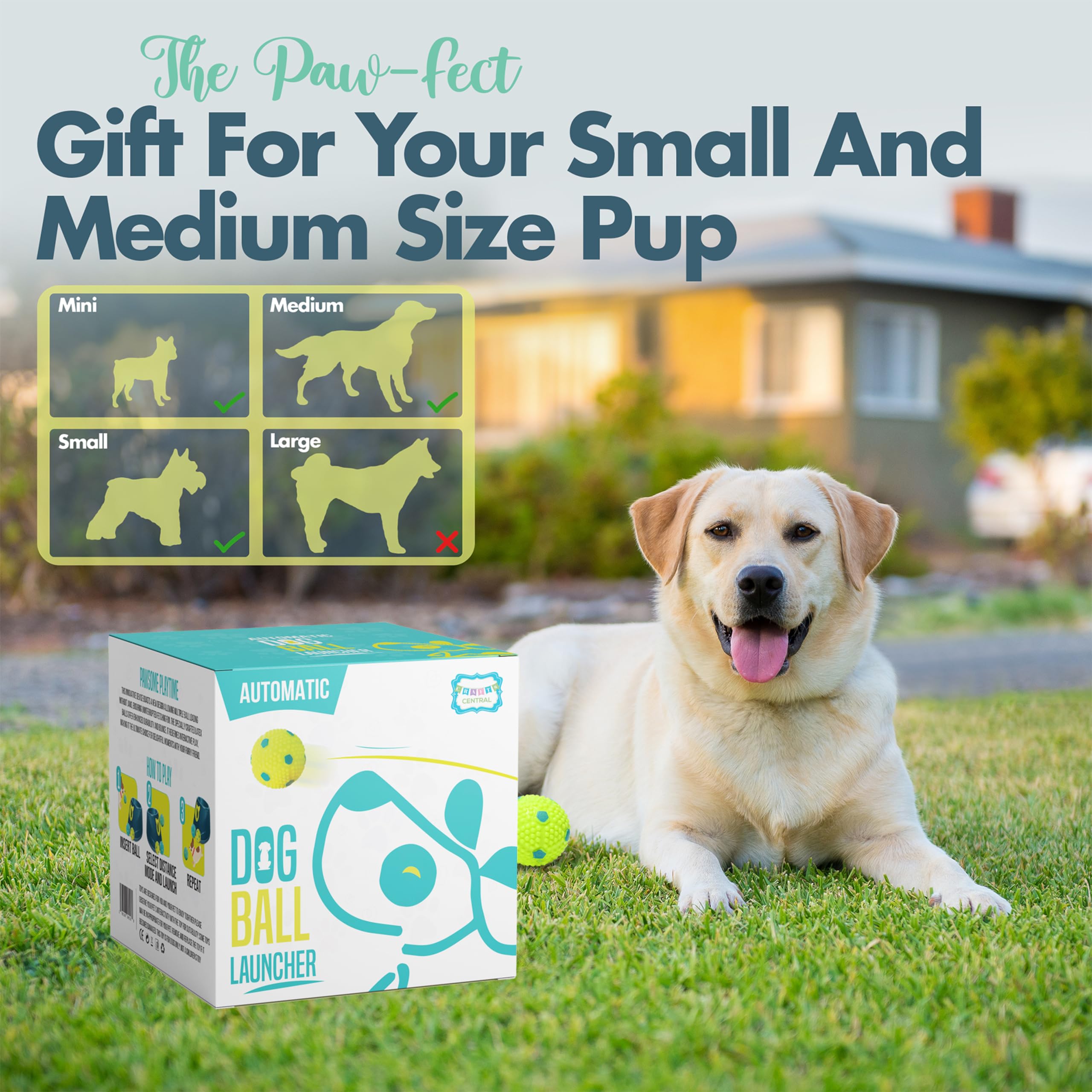 Automatic Dog Ball Launcher - Dog Ball Fetch Machine, Ball Thrower For Dogs, For Small To Medium Sized Dogs, Interactive Dog Toy