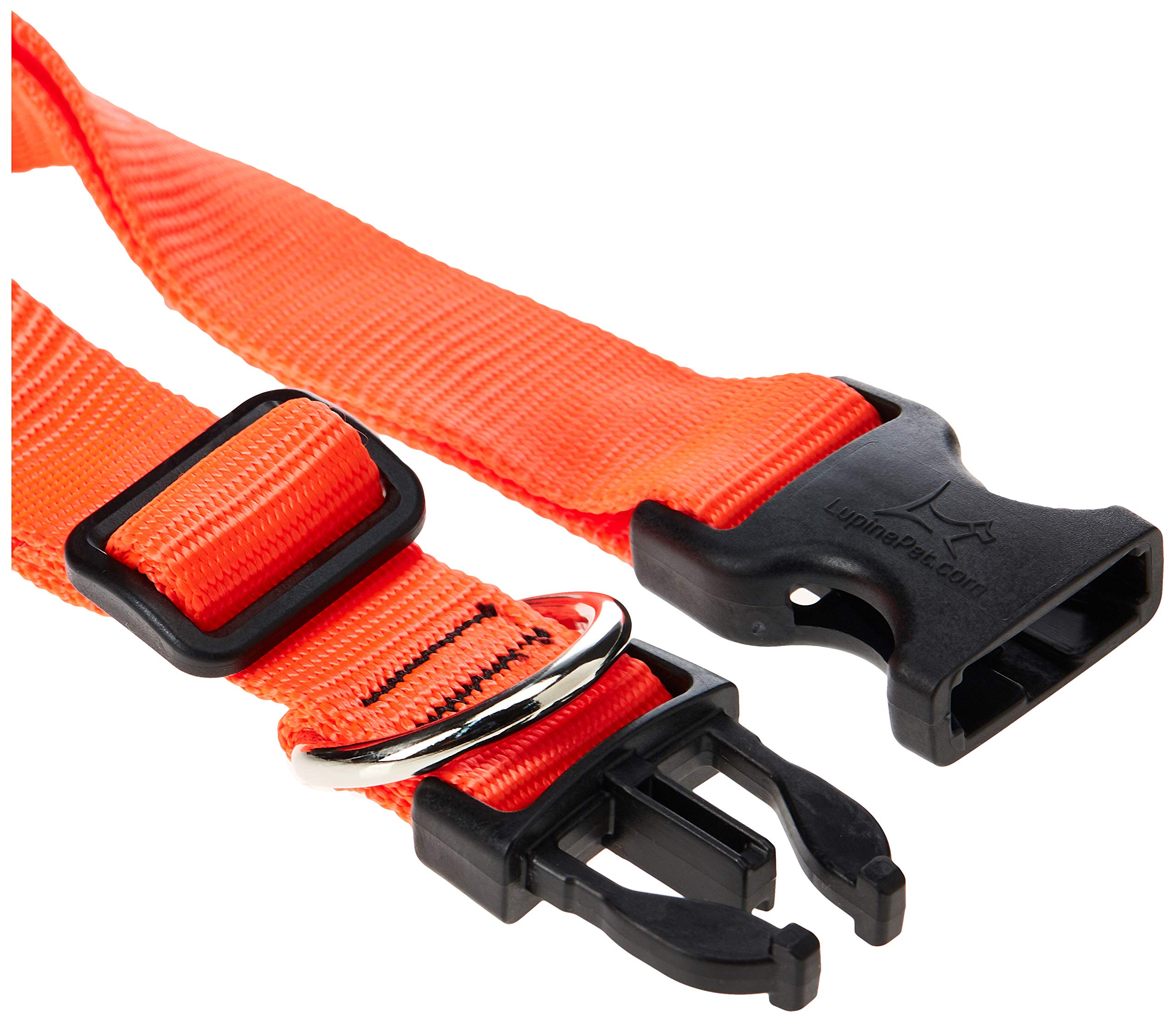Lupinepet Basics 1' Blaze Orange 12-20' Adjustable Collar For Medium And Larger Dogs