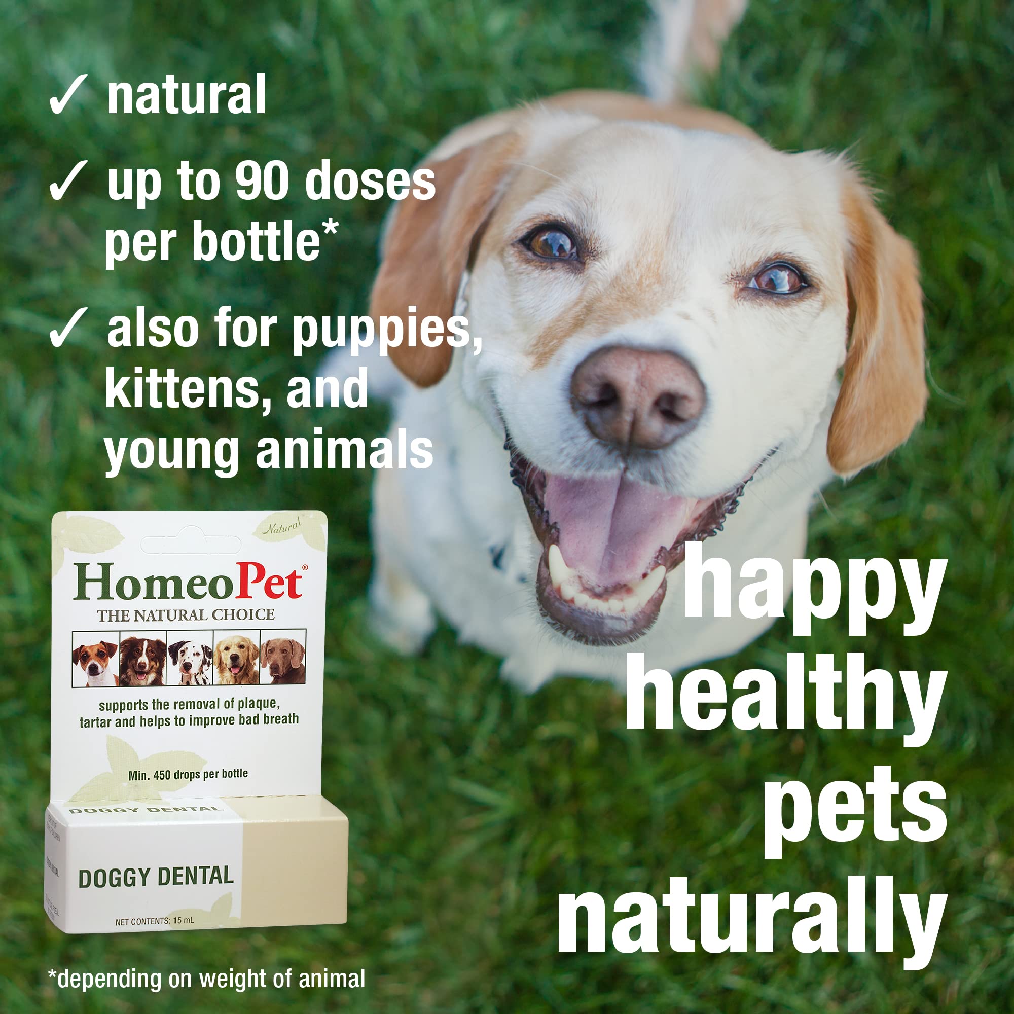 HomeoPet Doggy Dental, Dental Care for Dogs, 15 Milliliters
