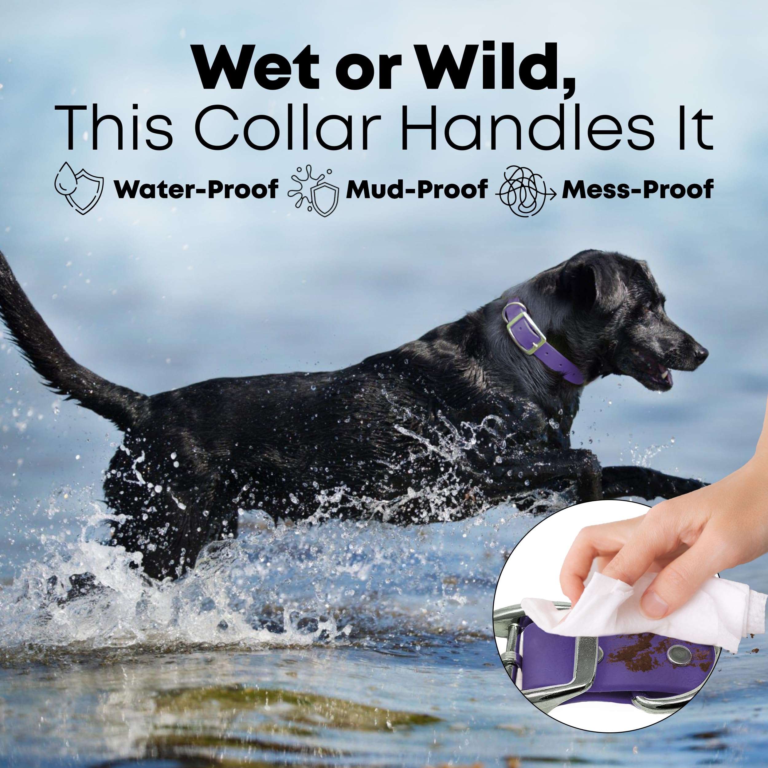 Regal Dog Products Large Purple Waterproof Dog Collar And Leash Set - Vinyl Coated Biothane Pet Training Collar With Heavy Duty