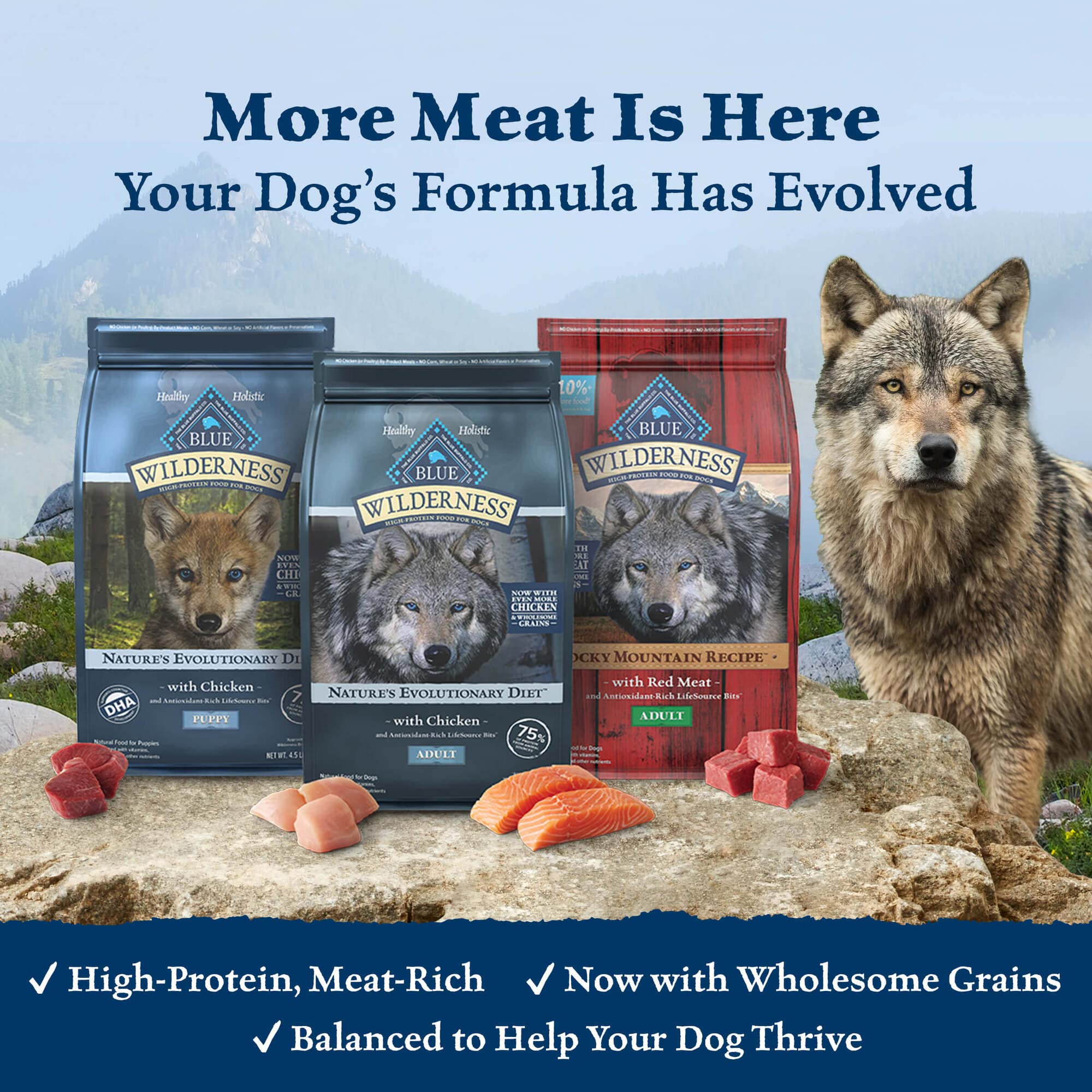 Blue Buffalo Wilderness High-Protein Natural Dry Food for Puppies, Chicken Recipe, 4.5-lb. Bag