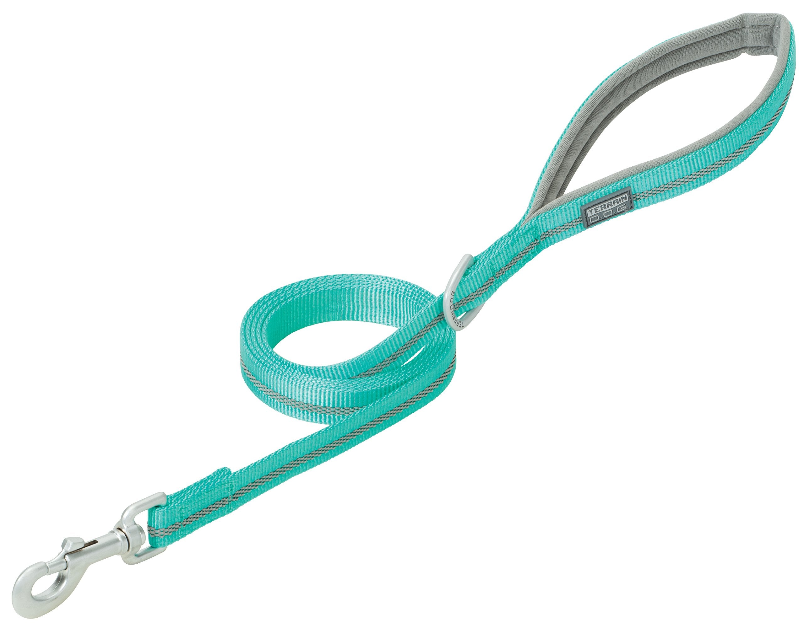 Terrain D.O.G. Reflective Neoprene Lined Dog Leash, Mint, 6-Feet L X 1-Inch W