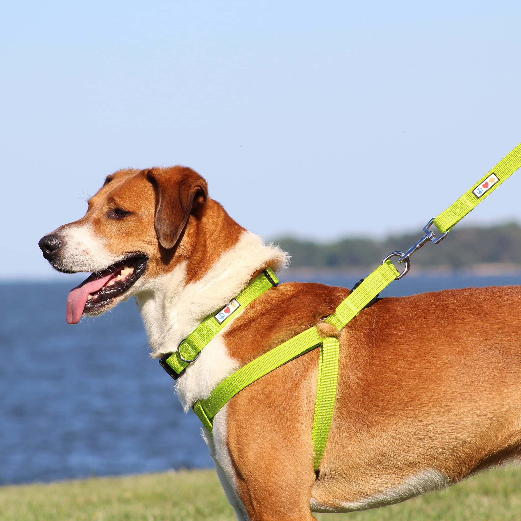 Pawtitas Dog Harness Medium Sized Dog Purple Dog Harness Step in from a Senior Dog to a Puppy Harness Adjustable Reflective Dog