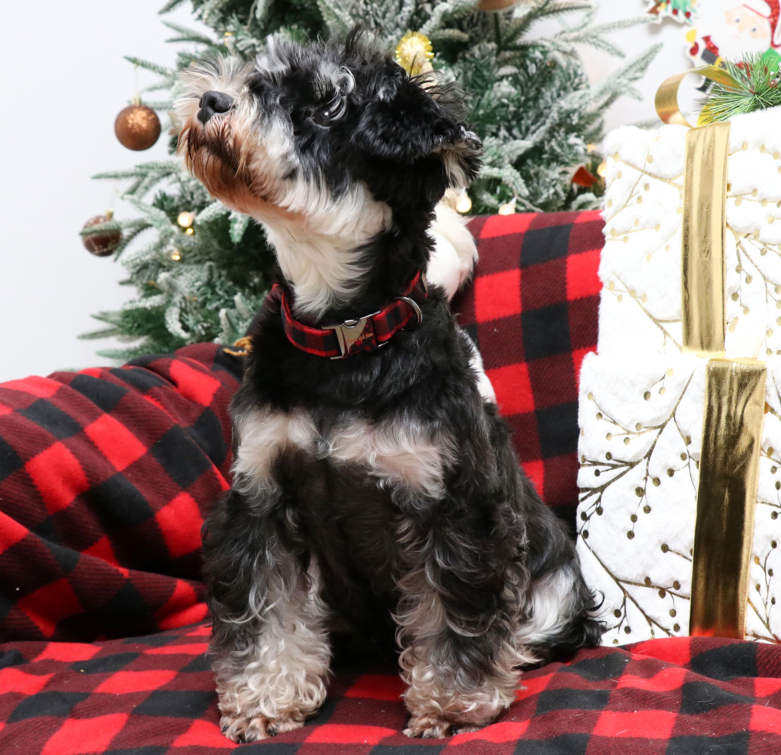Unique Style Paws Christmas Dog Collar Metal Buckle Red Black Plaid Puppy Collar Gift Durable Cute Collar For Small Medium Large