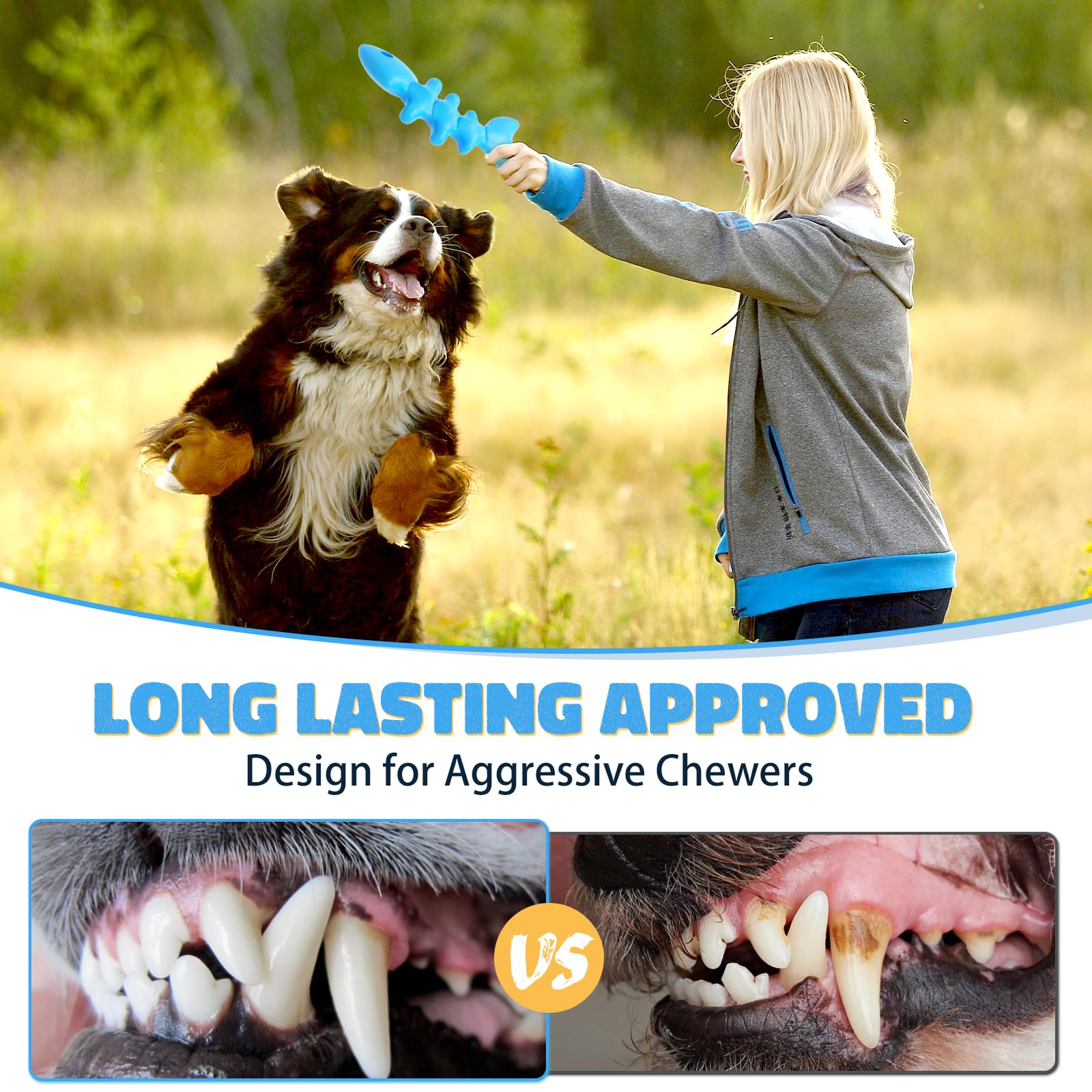 Adsdia Indestructible Dog Chew Toys For Aggressive Chewers, Tough Nylon Bones Toys For Large Breed, Super Chewer Toys To Keep Th