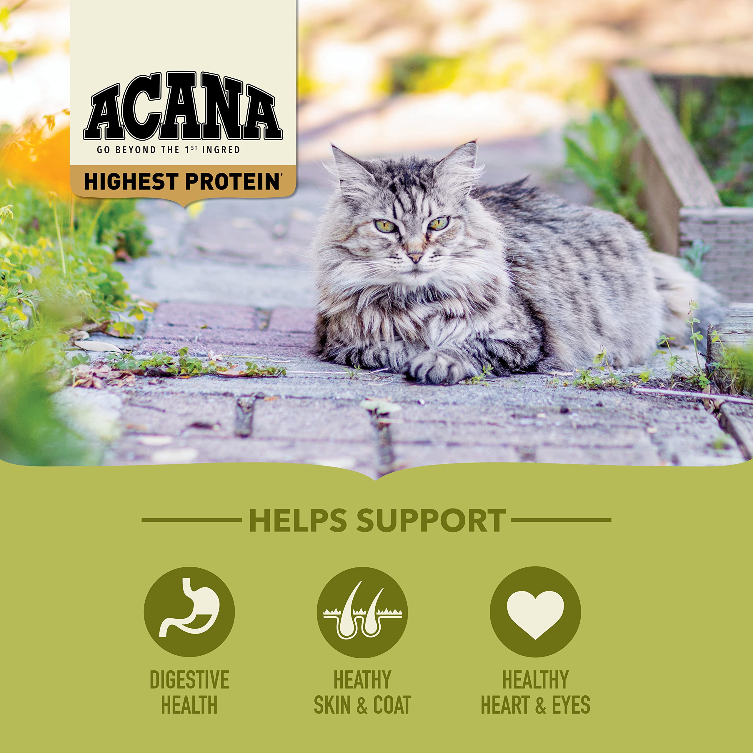 ACANA Highest Protein Grasslands Grain-Free Dry Cat Food, Duck, Free-Run Chicken and Eggs Cat Food Recipe, 4lb