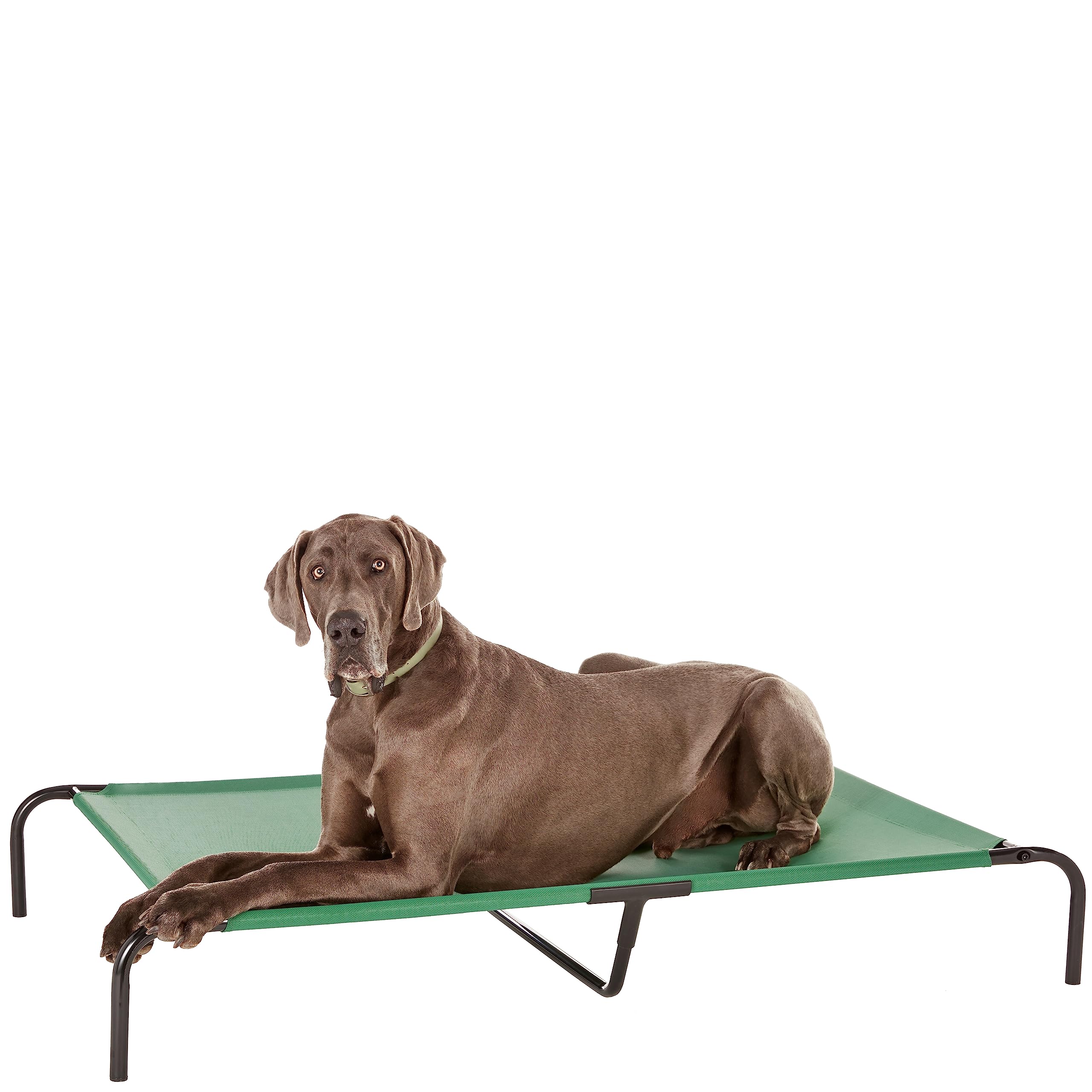 Amazon Basics Cooling Breathable Elevated Dog Bed With Durable Metal Frame, For Large Dogs, X-Large, 60 X 37 X 9 Inch, Green