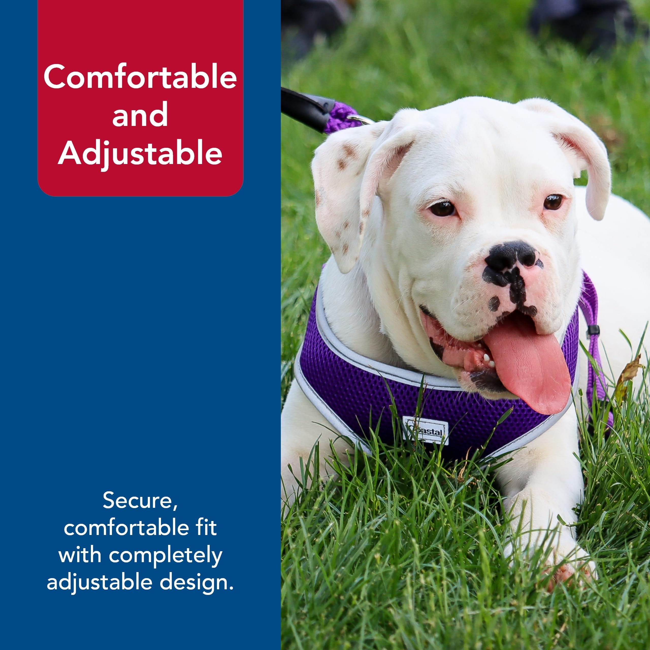 Coastal Pet Comfort Soft Reflective Wrap Adjustable Dog Harness - No-Pull Dog Harness For Small & Large Dogs - Purple - 3/4' X 20'–29'