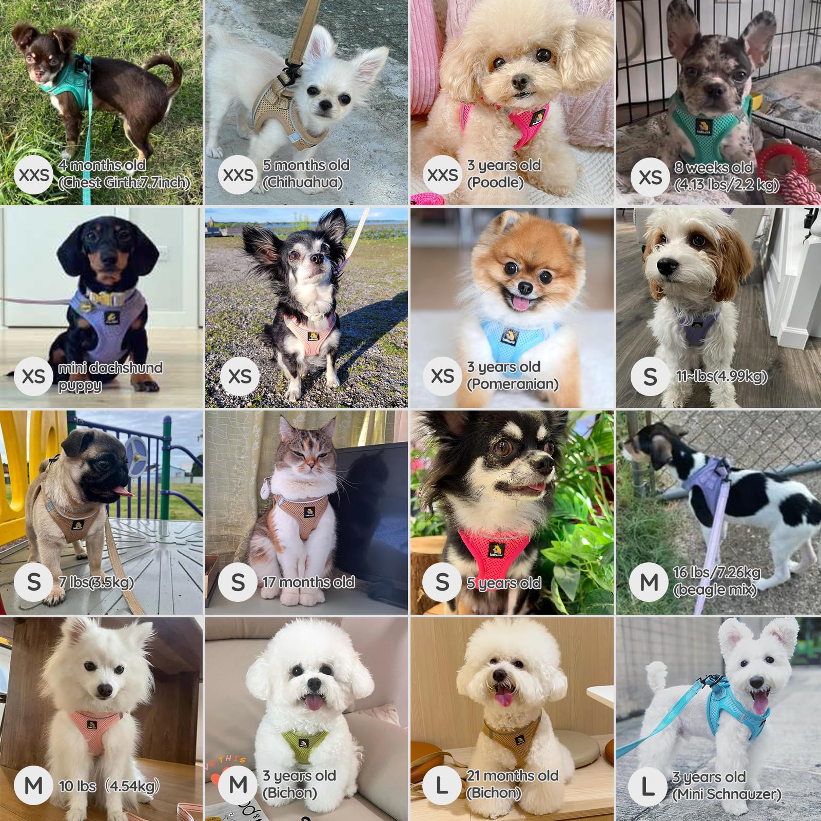 Bella & Pal Puppy Harness With Leash Set, Dog Harness For Small Dogs No Pull, Dog Leash For Small Dogs, Step In Harness For Extra Small Dogs, Pink Harness, Xs