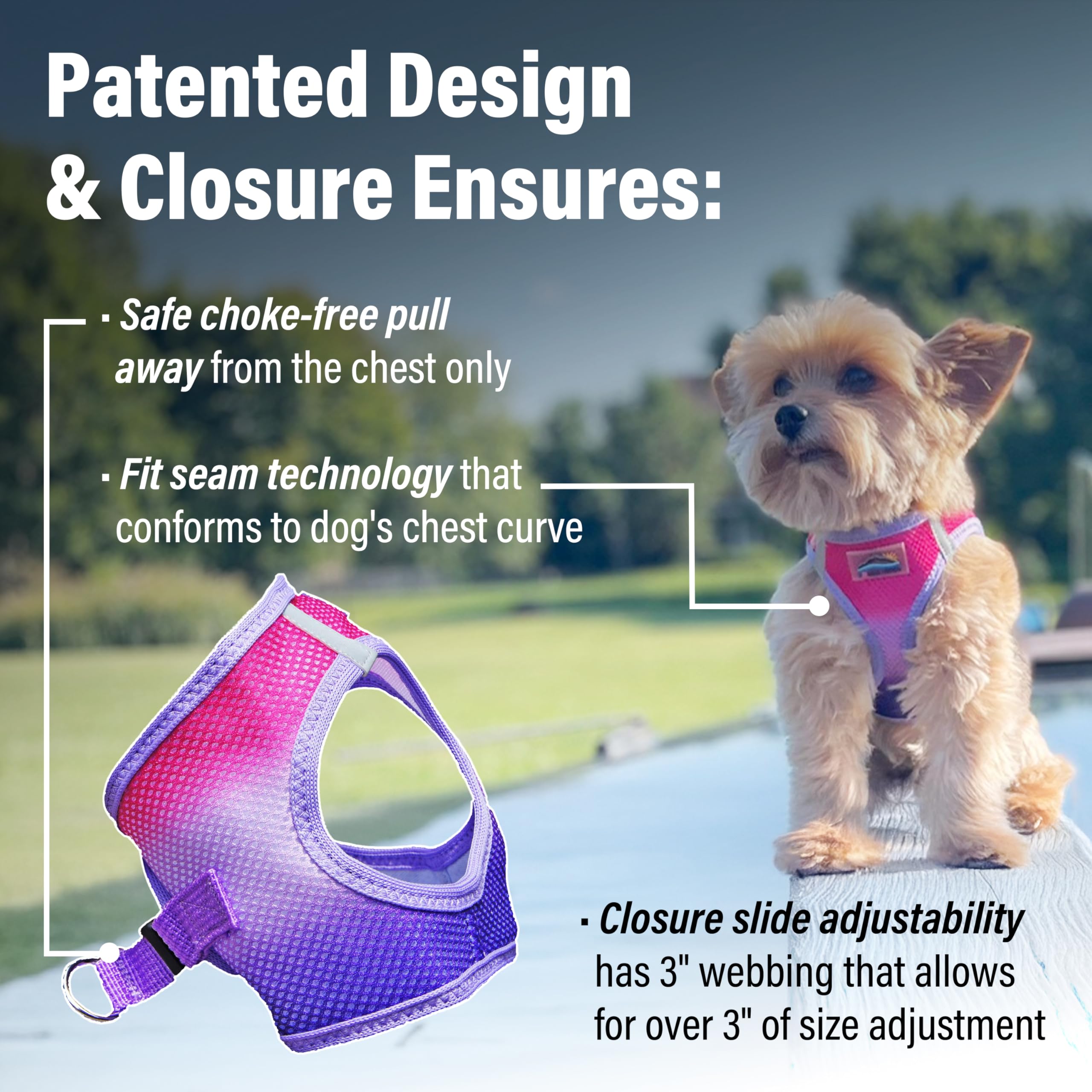 Doggie Design Dog Harness - No Choke Dog Harness, Dog Vest, Mesh Polyester, Pet Harness, Simple Step In And Go Design, Harness For Dog - Raspberry Sundae, S