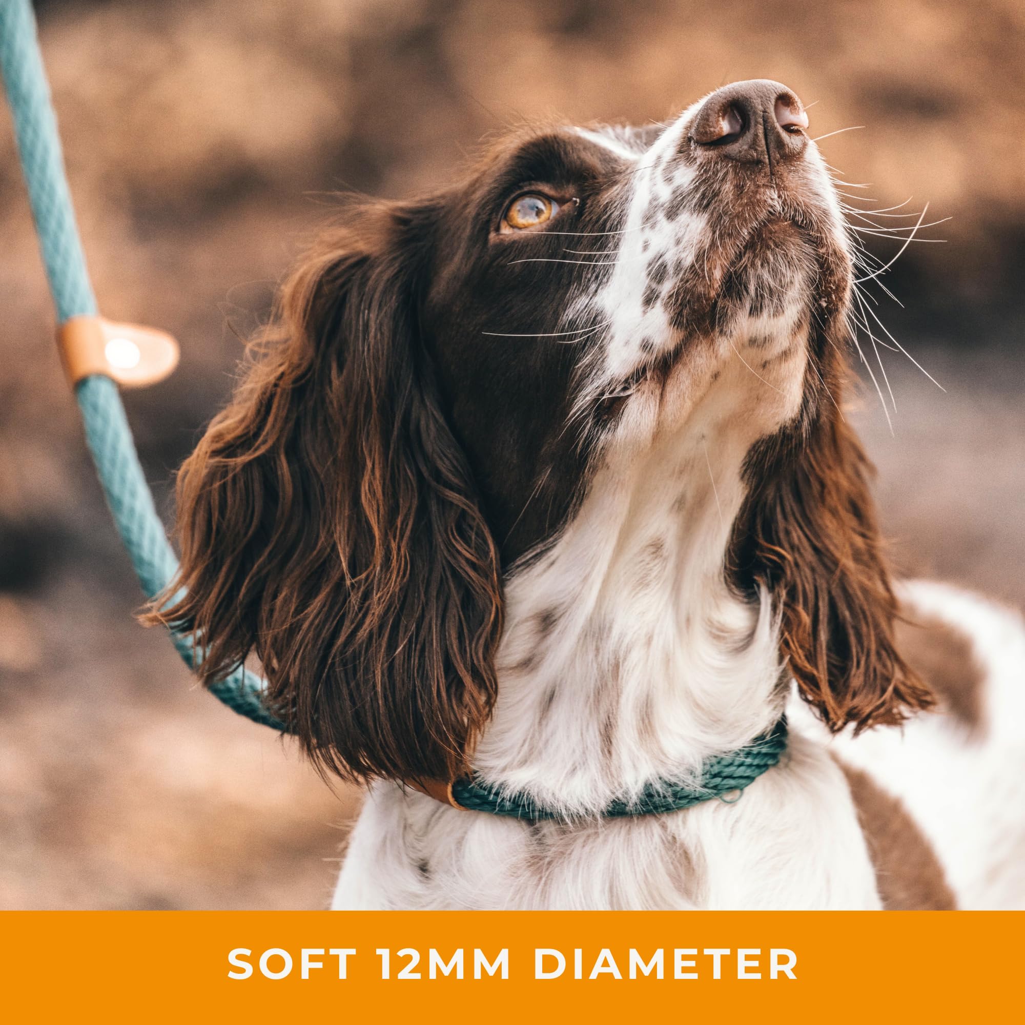 Dog & Field Lux Woven Slip Leash - Teal. 4Ft Slip Leash For Dogs, Soft Braided Rope Dog Lead With Brass Fittings & Leather Bindi