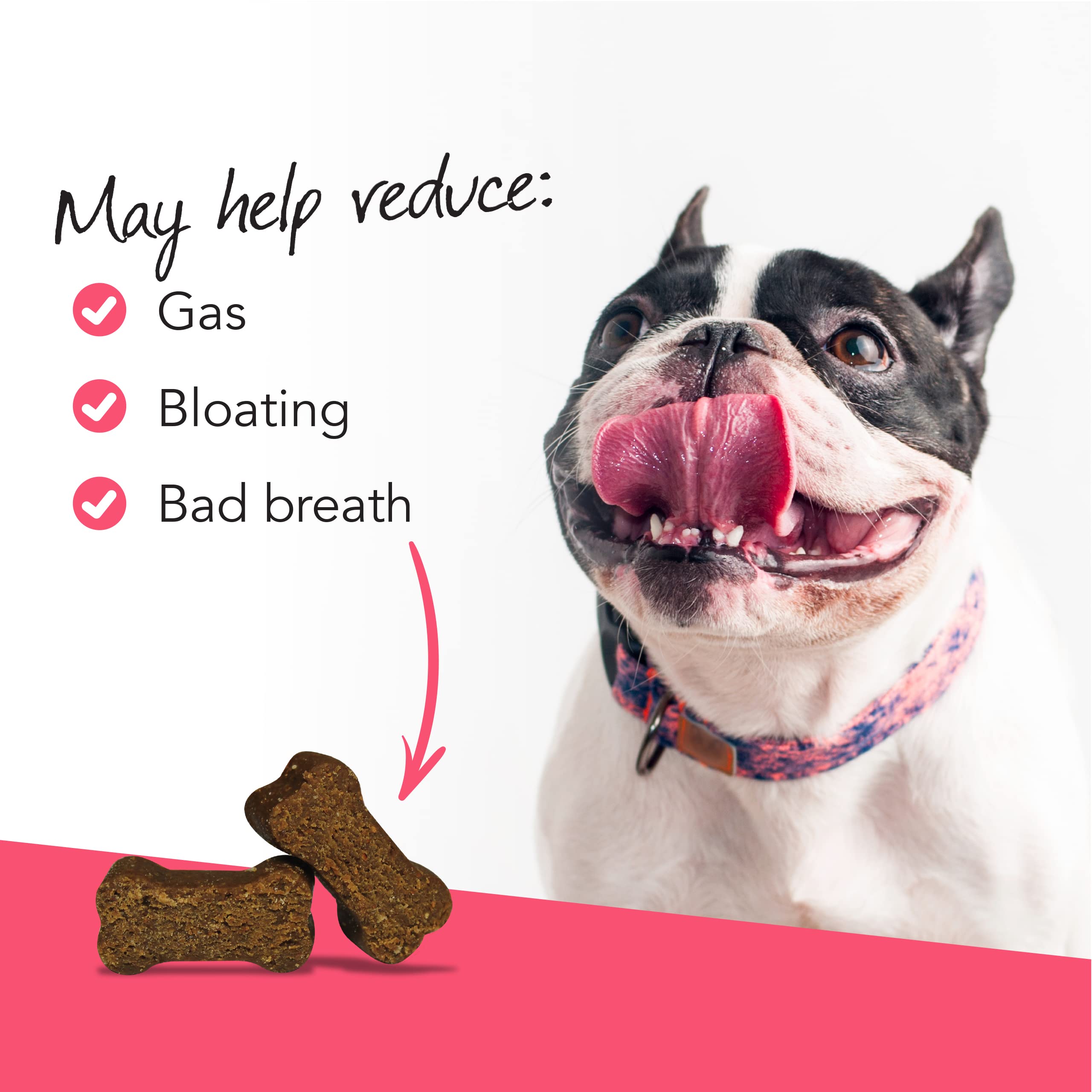 VetriScience Gut Health Chews, Probiotic Everyday Digestive Supplement for Dogs, Pet Probiotics for Digestion Support, Gas and D