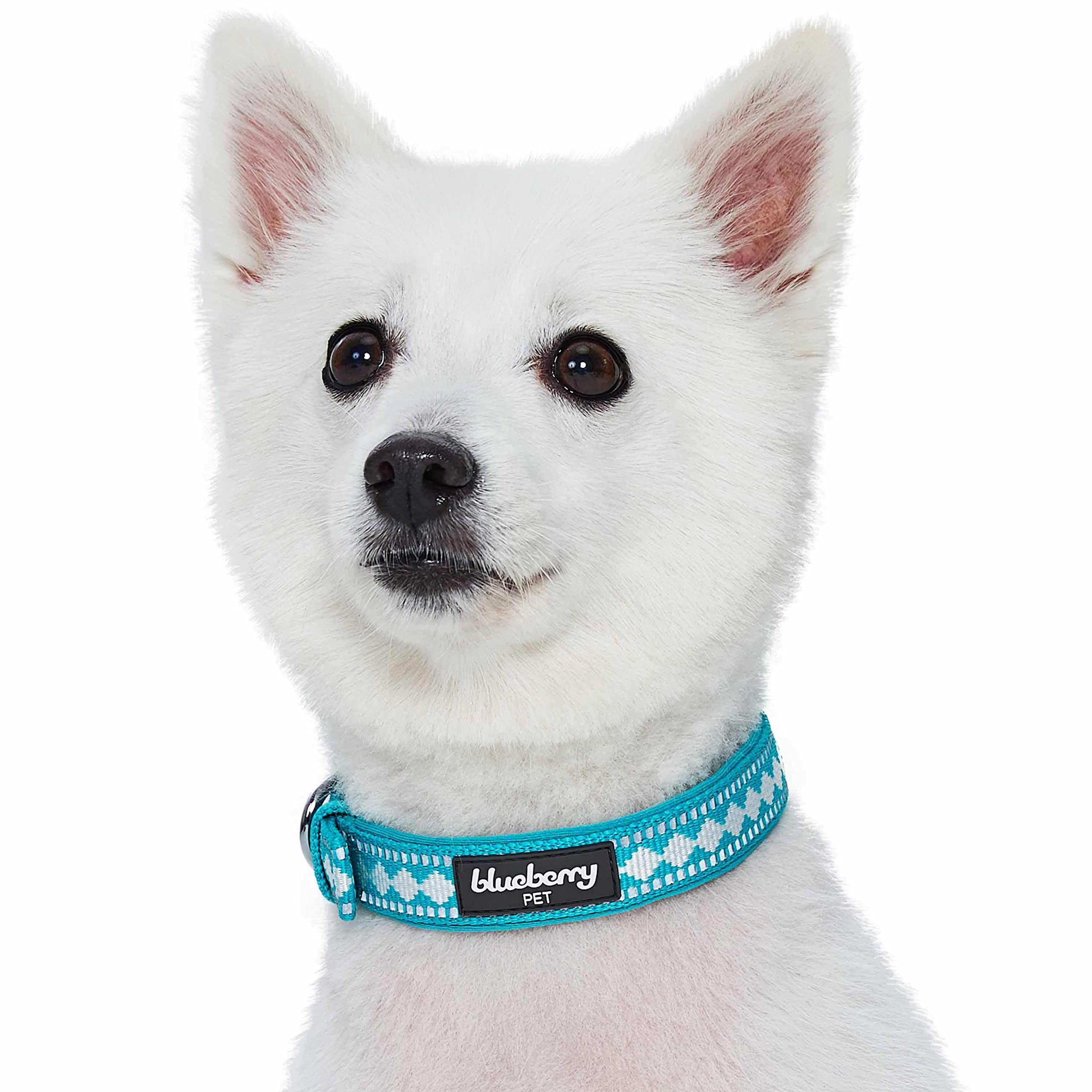 Blueberry Pet Soft & Safe 3M Reflective Jacquard Neoprene Padded Adjustable Dog Collar With Metal Buckle - Peacock, Neck 13-16.5