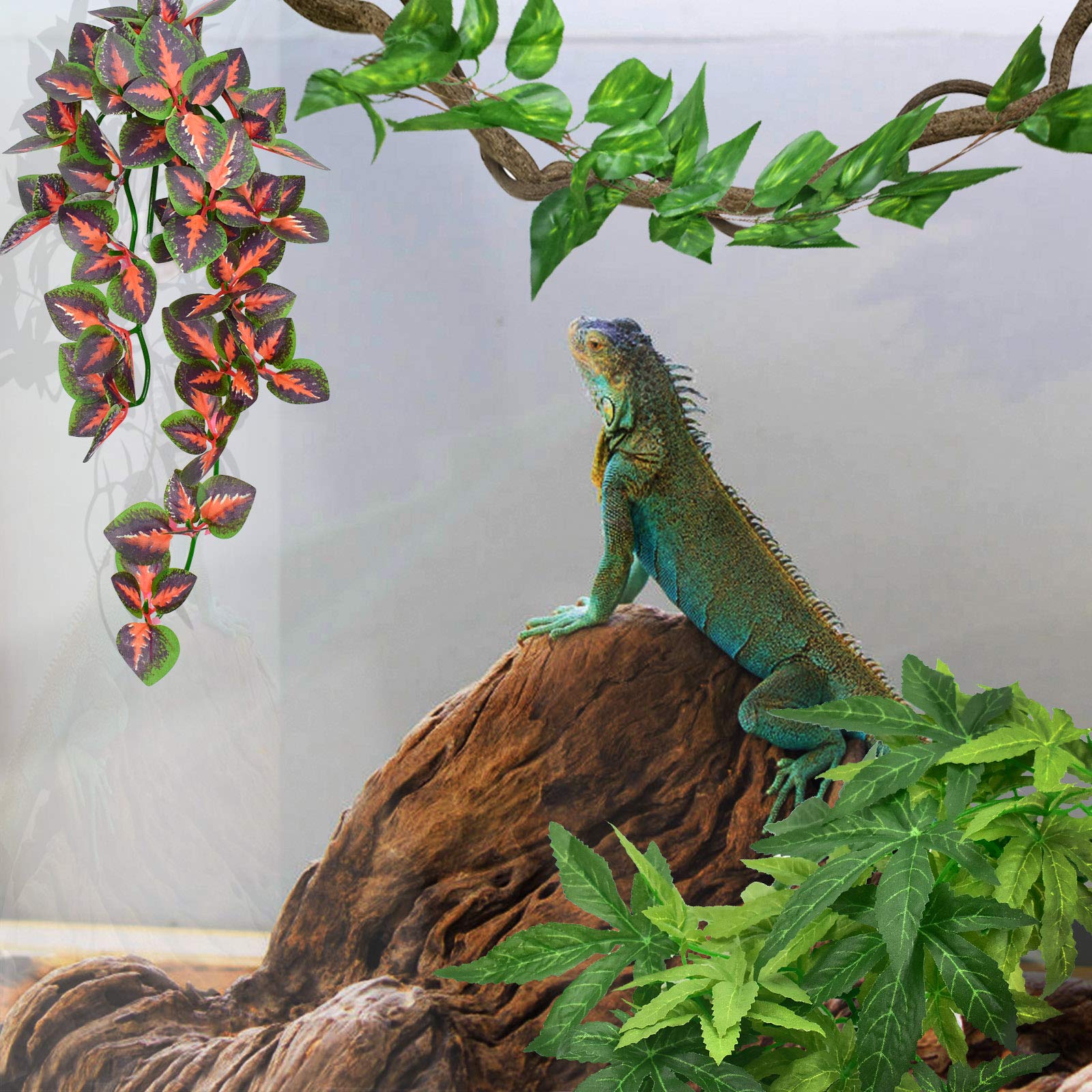 Katumo Reptile Plants, Amphibian Hanging Plants With Suction Cup For Snake, Bearded Dragons, Lizards, Geckos, Toads, Hermit Crab Tank Pets Habitat Decorations