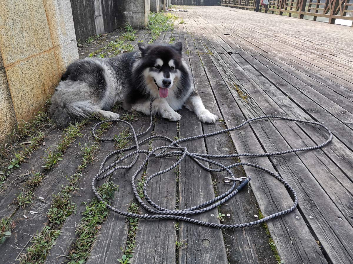 Yucforen Check Cord Dog Tie Out Long Rope Leash For Dog Training 15Ft 20Ft 26Ft 40Ft 60Ft 75Ft Obedience Recall Training Agility Lead For Large Medium Small Dogs Training, Camping, Playing, 40Ft