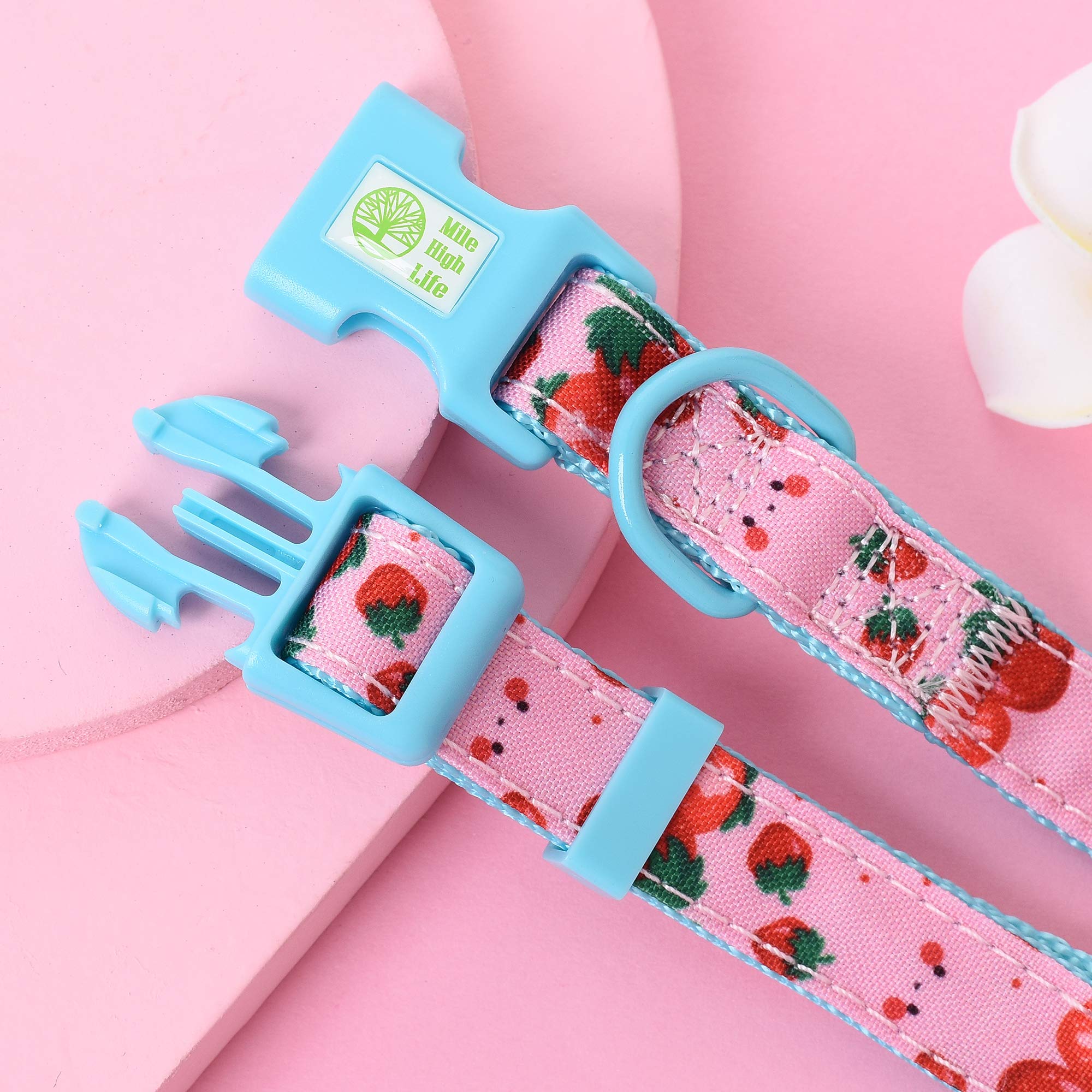 Mile High Life | Girl Dog Collars | Cute Dog Collar Lightweight | Soft Poly Cotton Fabric Collars For Medium Dogs | Flower & Fru
