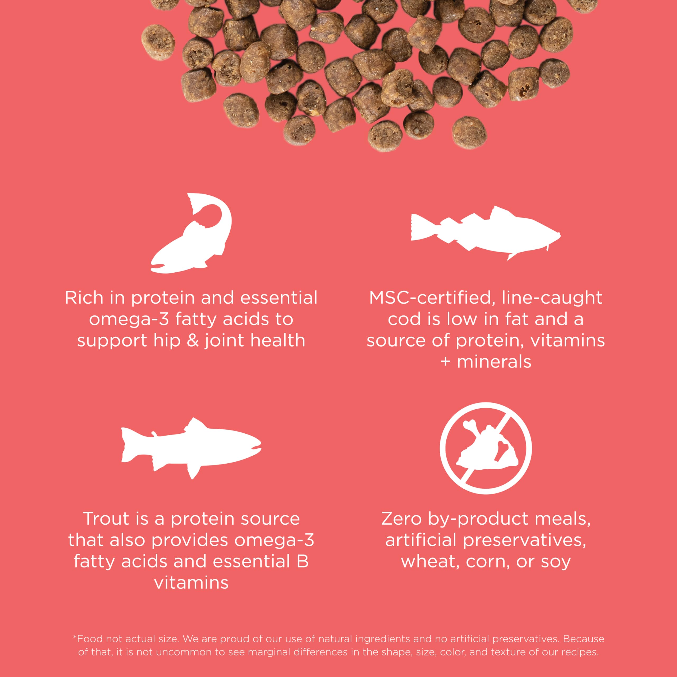 Go! Solutions Carnivore Salmon & Cod Grain-Free Dry Cat Food, 3 lb, High-Protein Kibble for Kittens, Adults & Seniors